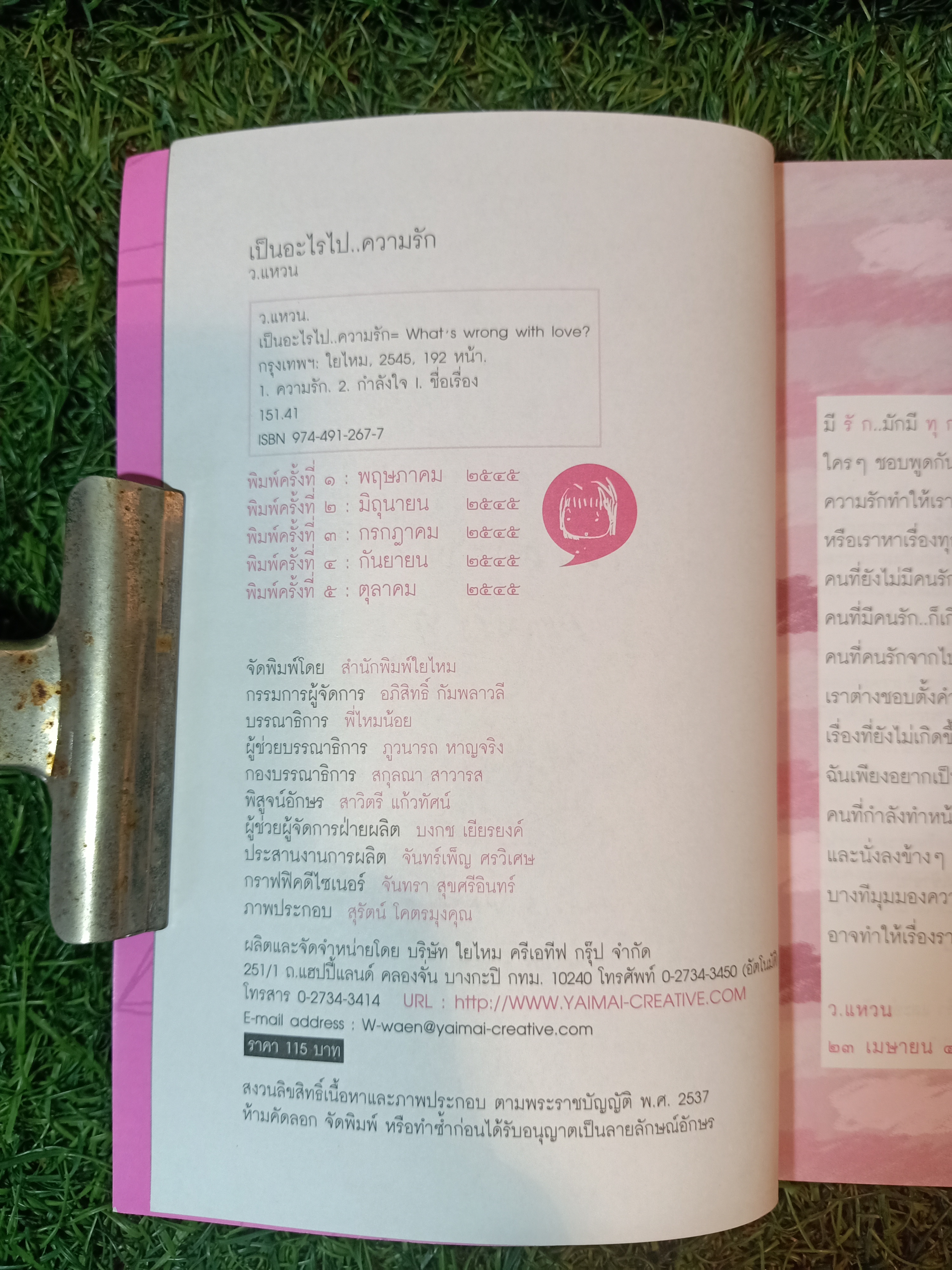 เป็นอะไรไป... ความรัก? / ใยไหม