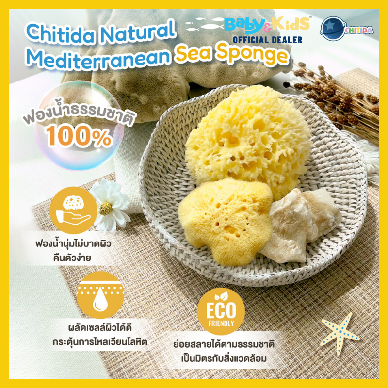 Chitida Natural Mediterranean Sea Sponge ฟองน้ำธรรมชาติ 100% รุ่น HONEYCOMB Size.M