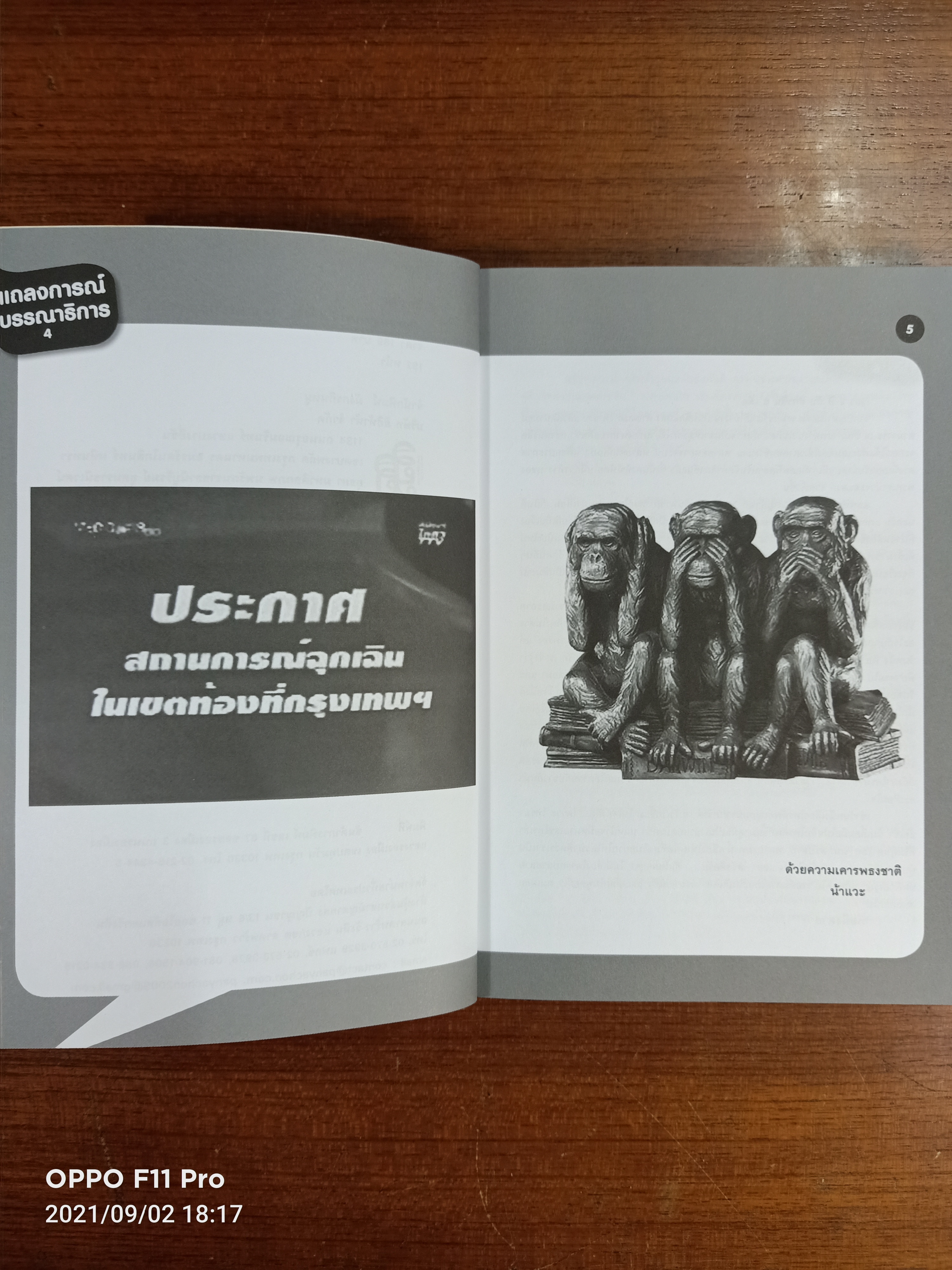 ฮิกาซีน iPad stuPad / มังกรกินหมู