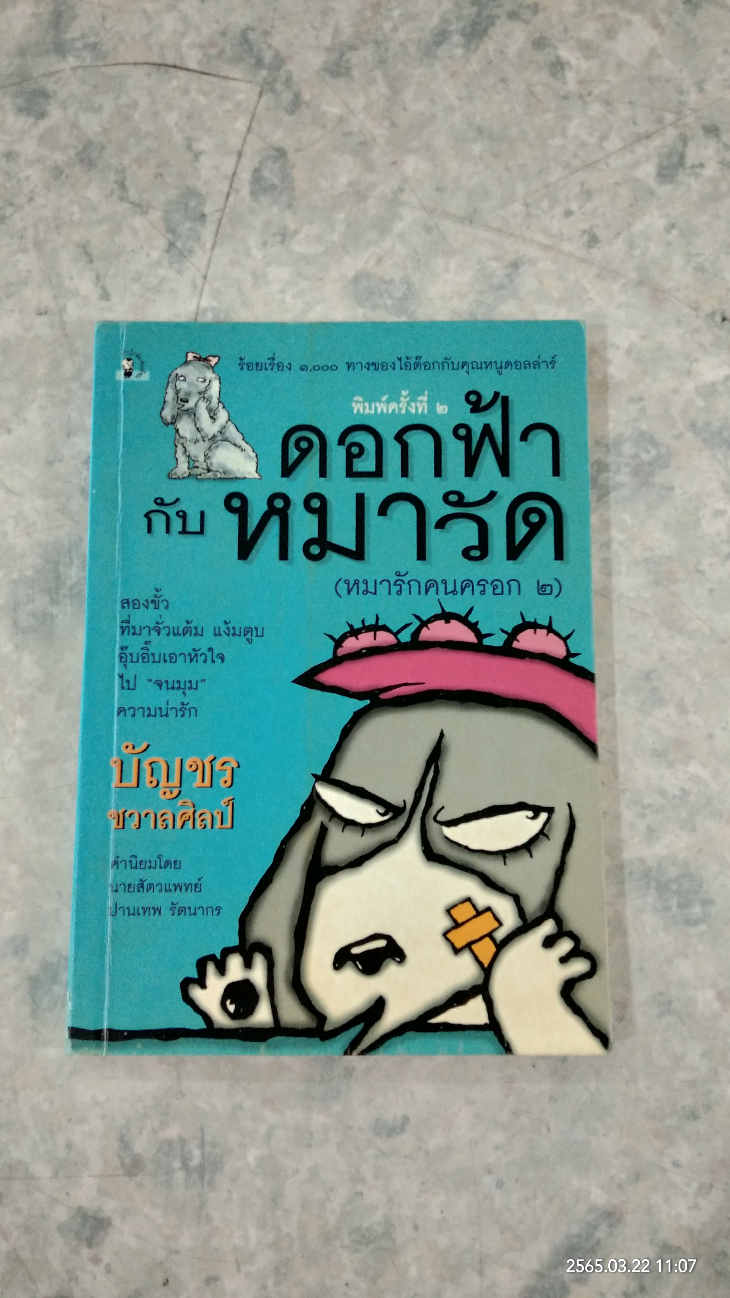 ดอกฟ้ากับหมาวัด / บัญชร ชวาลศิลป์