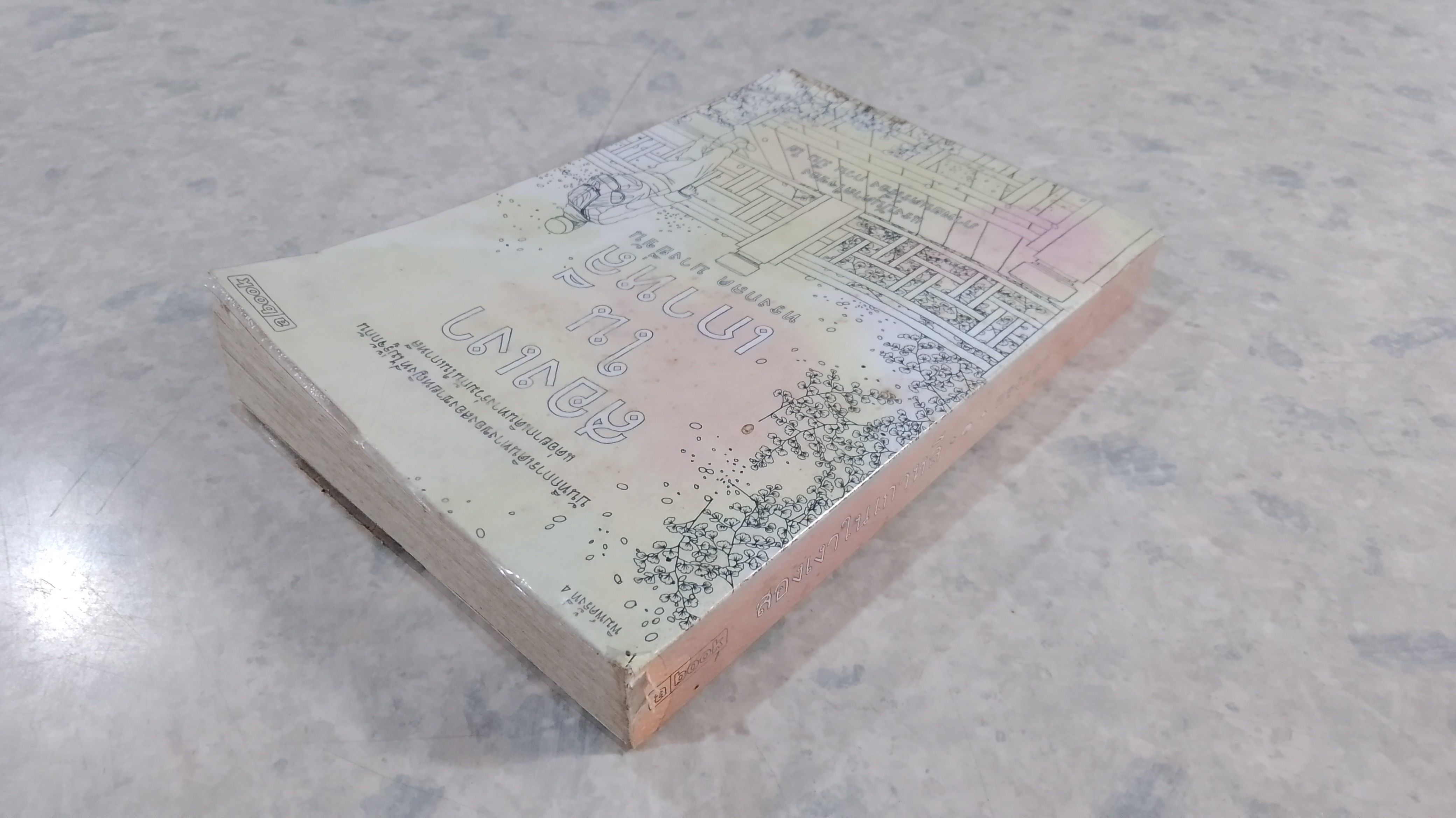 สองเงาในเกาหลี / ทรงกลด บางยี่ขัน