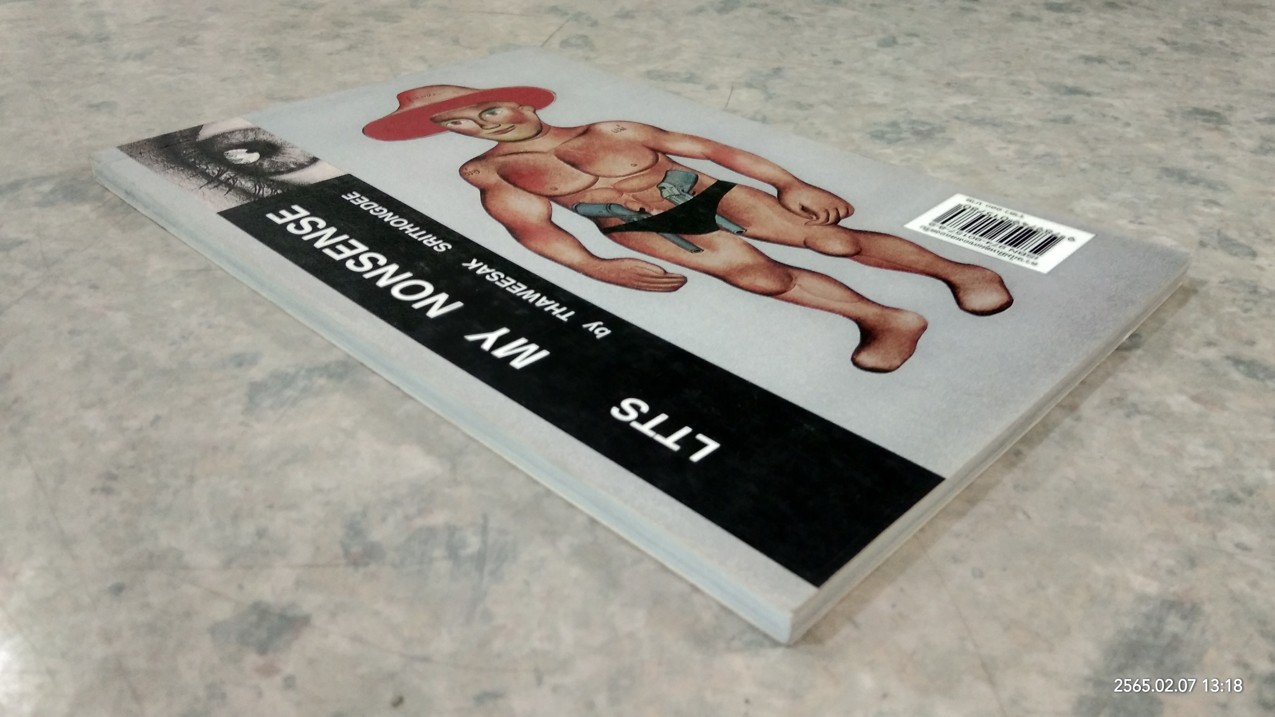 ความไม่มีเหตุผลของผมเองครับ / ทวีศักดิ์ ศรีทองดี