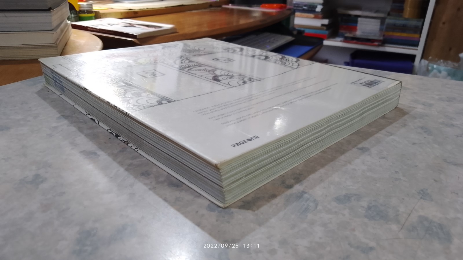 designing public toilets