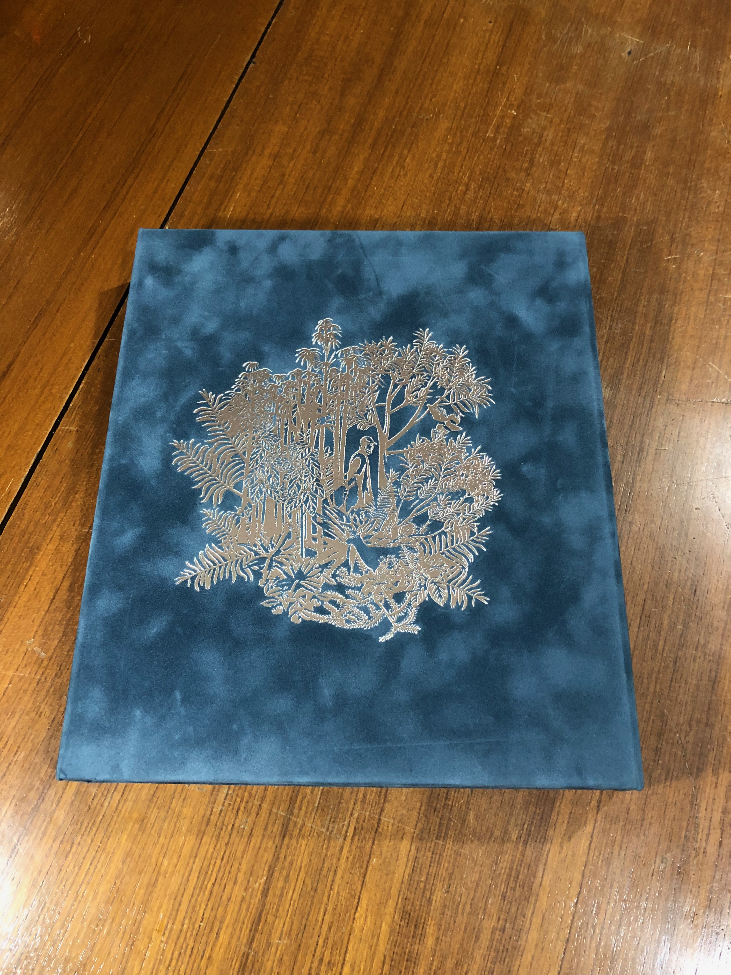 Gallery of trees. / กลุ่มธุรกิจการเงินเกียรตินาคินภัทร