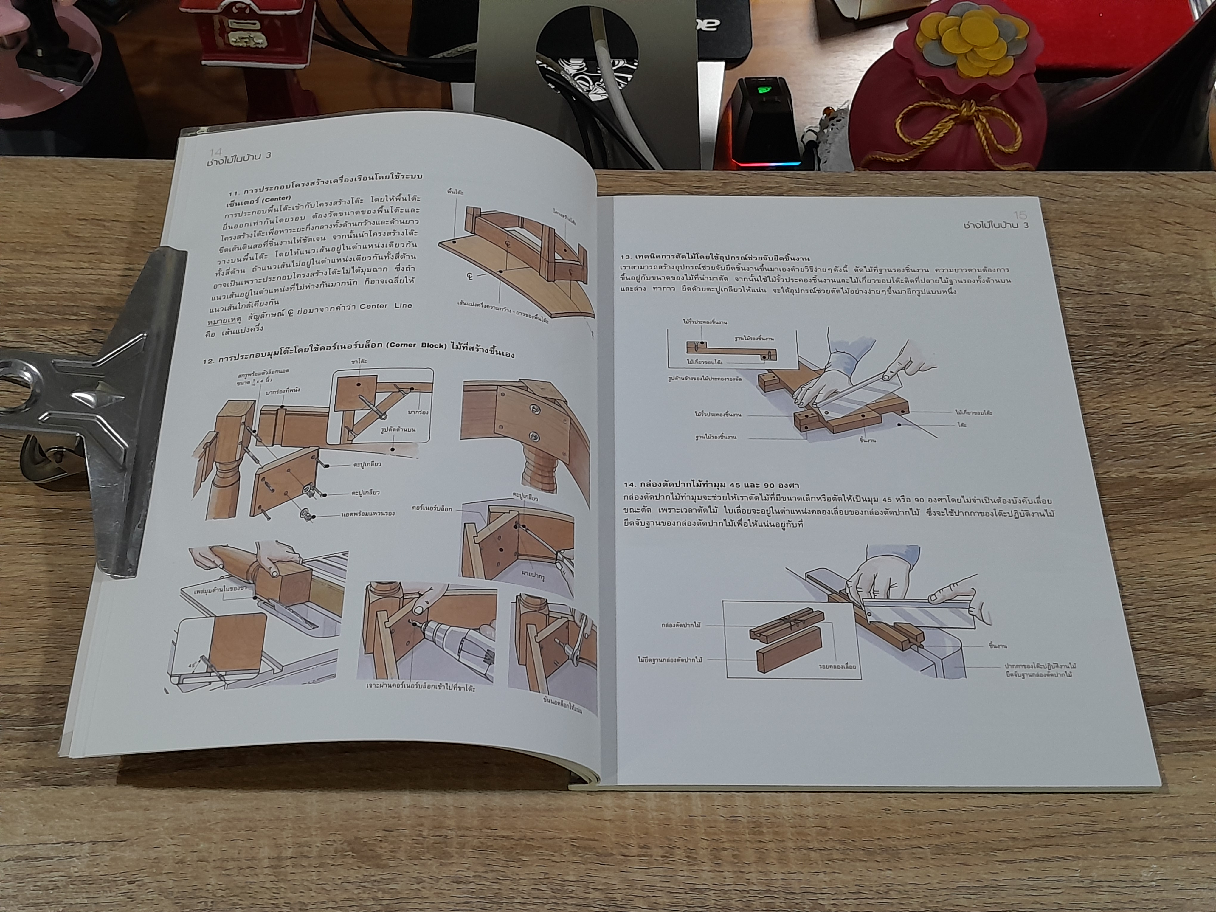 ช่างไม้ในบ้าน 3 / บ้านและสวน