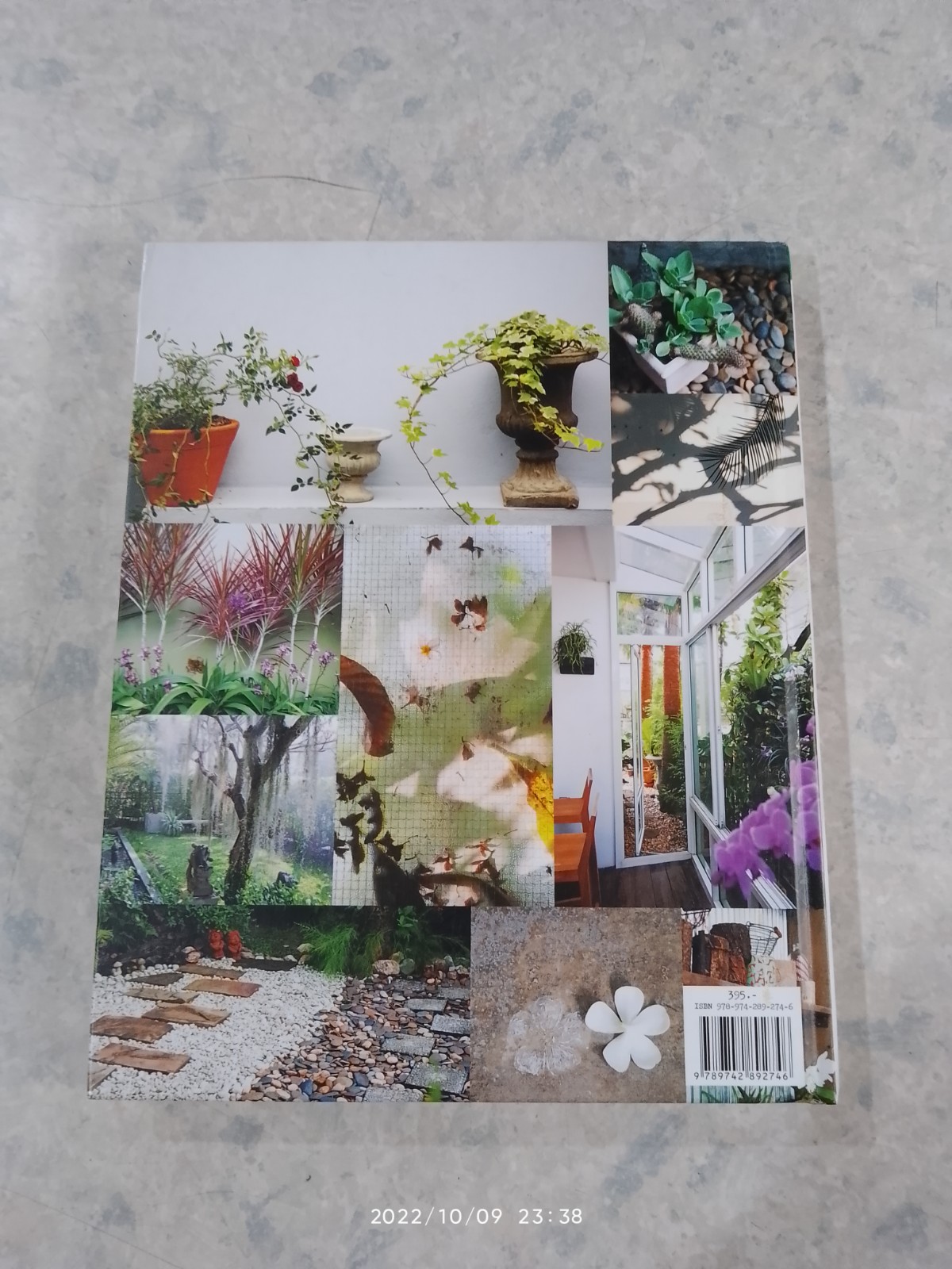 พื้นที่เล็กของคนรักสวน / ทิพาพรรณ ศิริเวชฏารักษ์