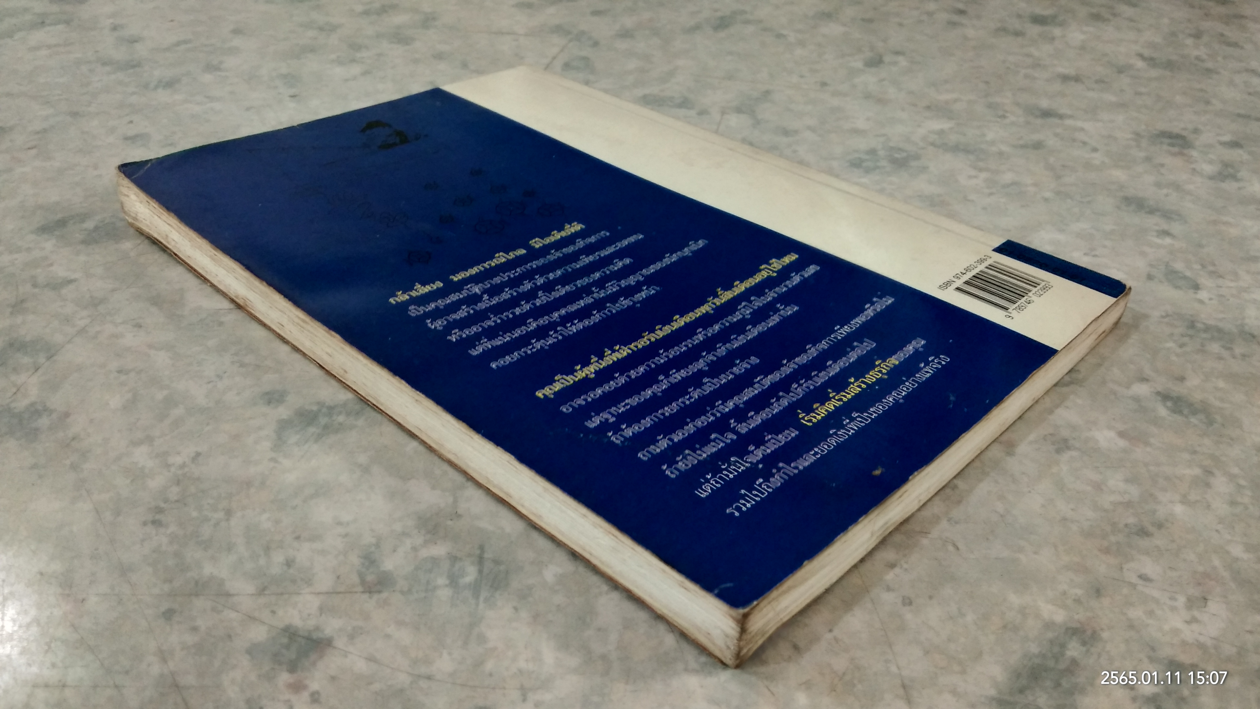 คู่มือเถ้าแก่ / หวูเหม่ยซิง