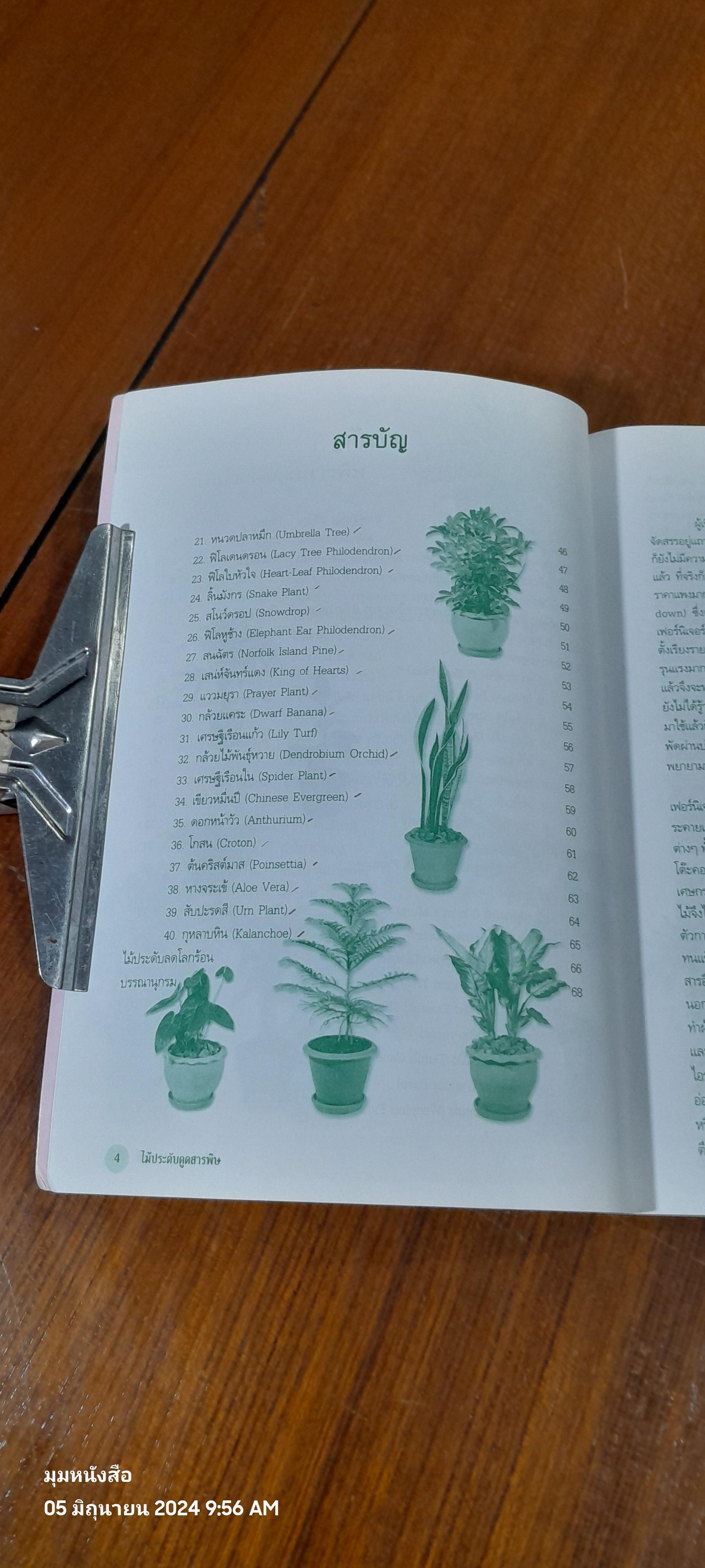 ไม้ประดับดูดสารพิษ ( มีรอยขีดเขียนด้านใน ) / คมสัน หุตะแพทย์