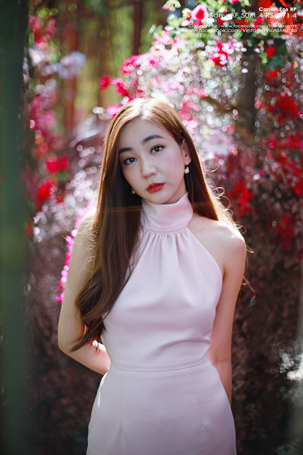 Minolta AF 50/1.4 *Sony A Mount เลนส์ไวแสงละลายฉากหลังสวยสำหรับกล้อง Sony DSLR