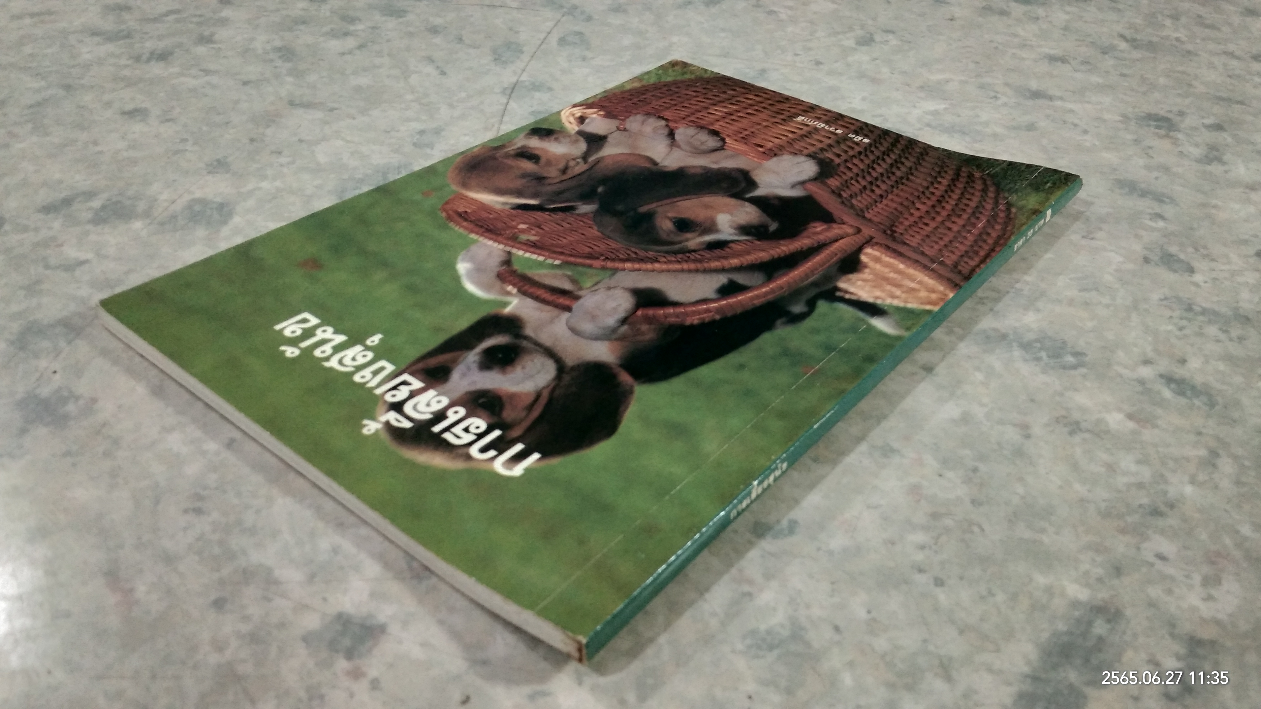 การเลี้ยงสุนัข / สมิต สวามิภักดิ์