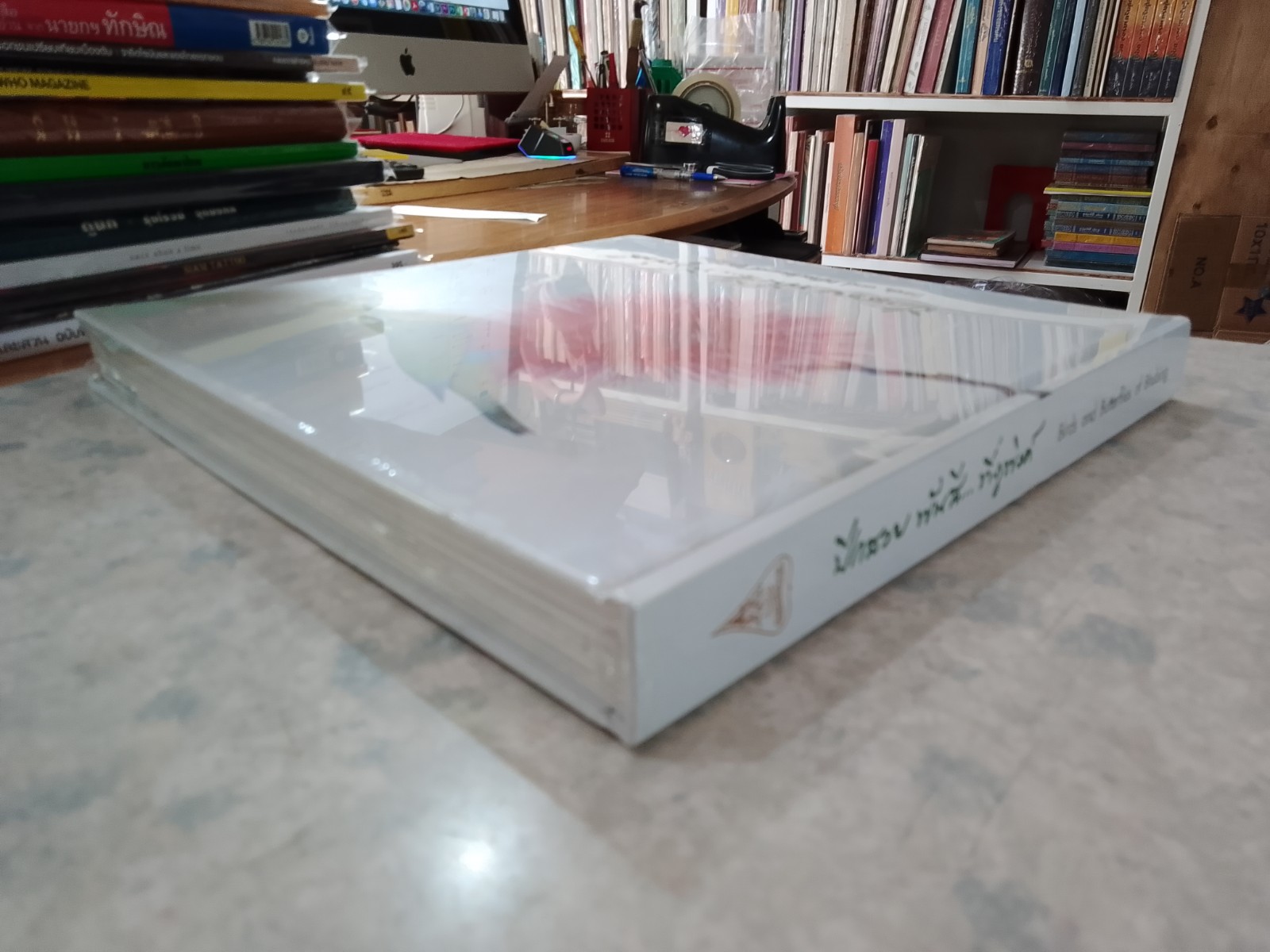 ปีกสวย พันสี...ที่ภูพิงค์