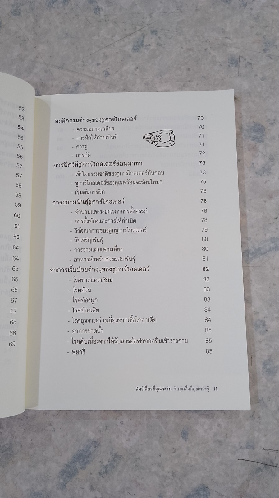 ชูการ์ไกลเดอร์ / วีรเธียร เขียนมีสุข