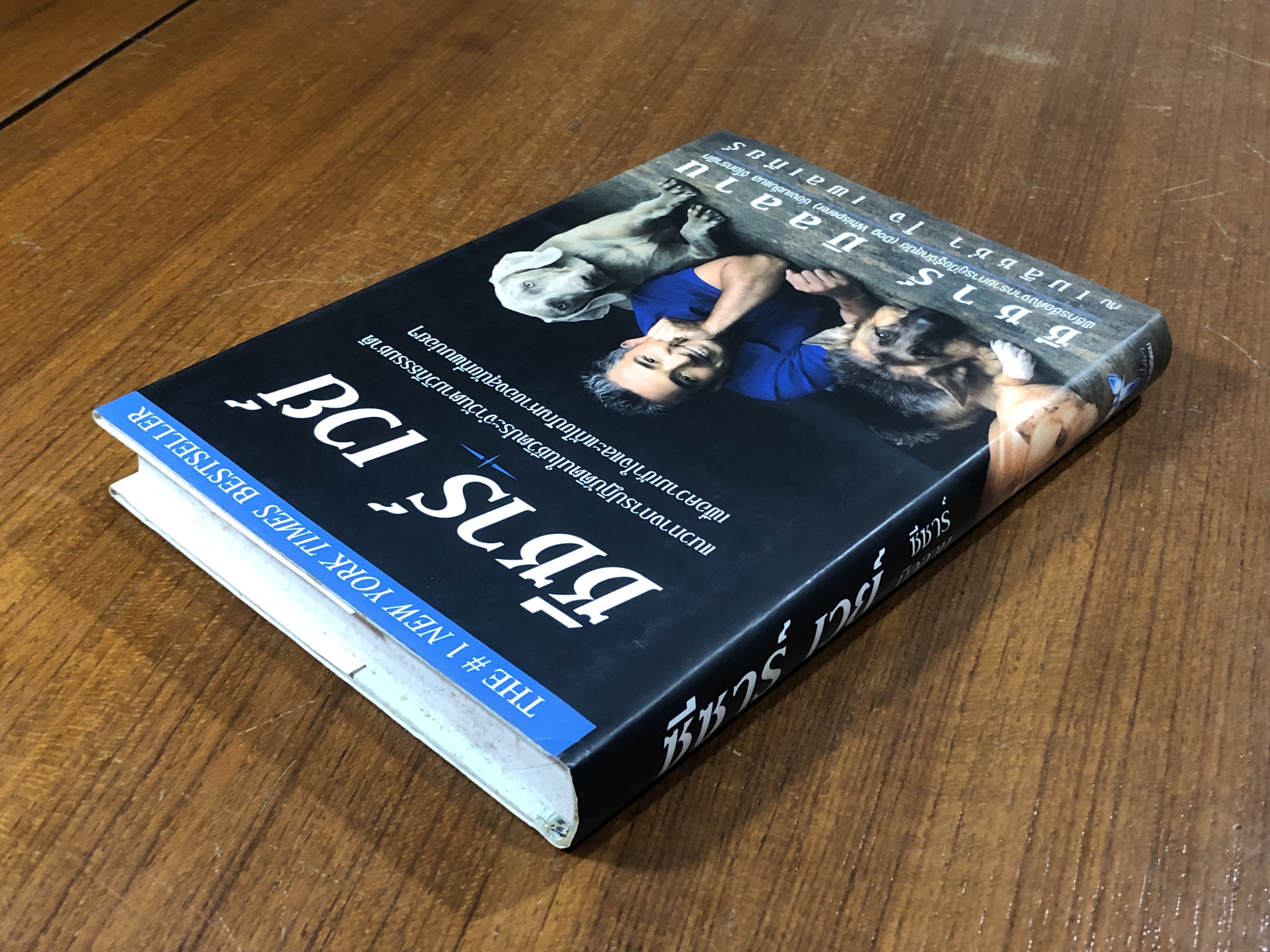 ซีซาร์ เวย์ / ซีซาร์ มิลลาน