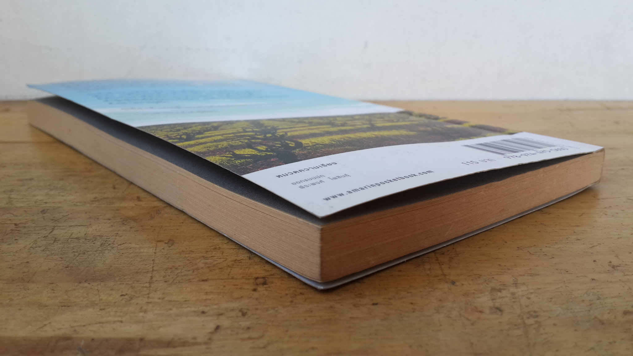 นักท่องกาลเวลา / สิขเรศ เอี่ยมประชา