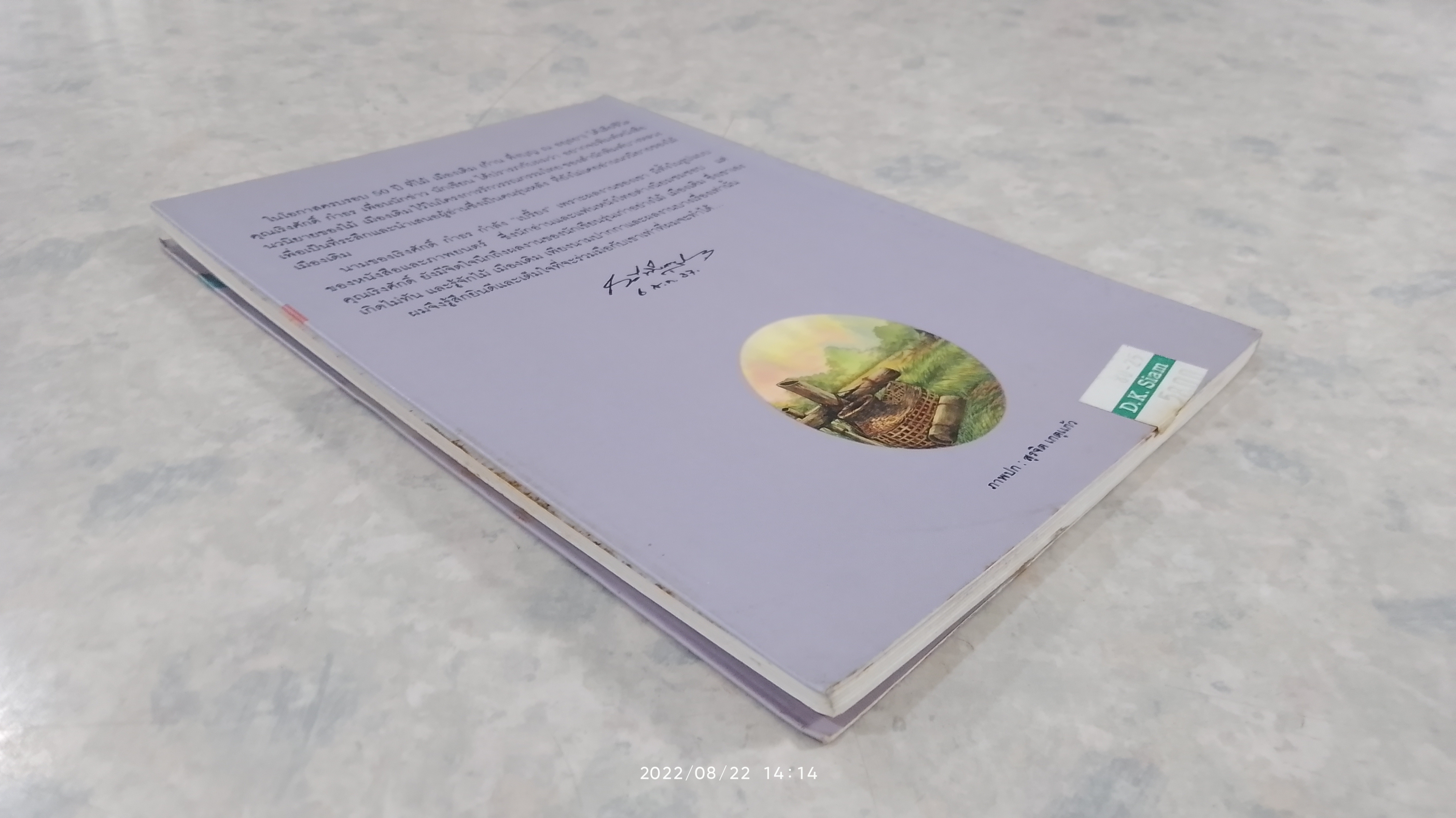 เสือข้าม / ไม้ เมืองเดิม