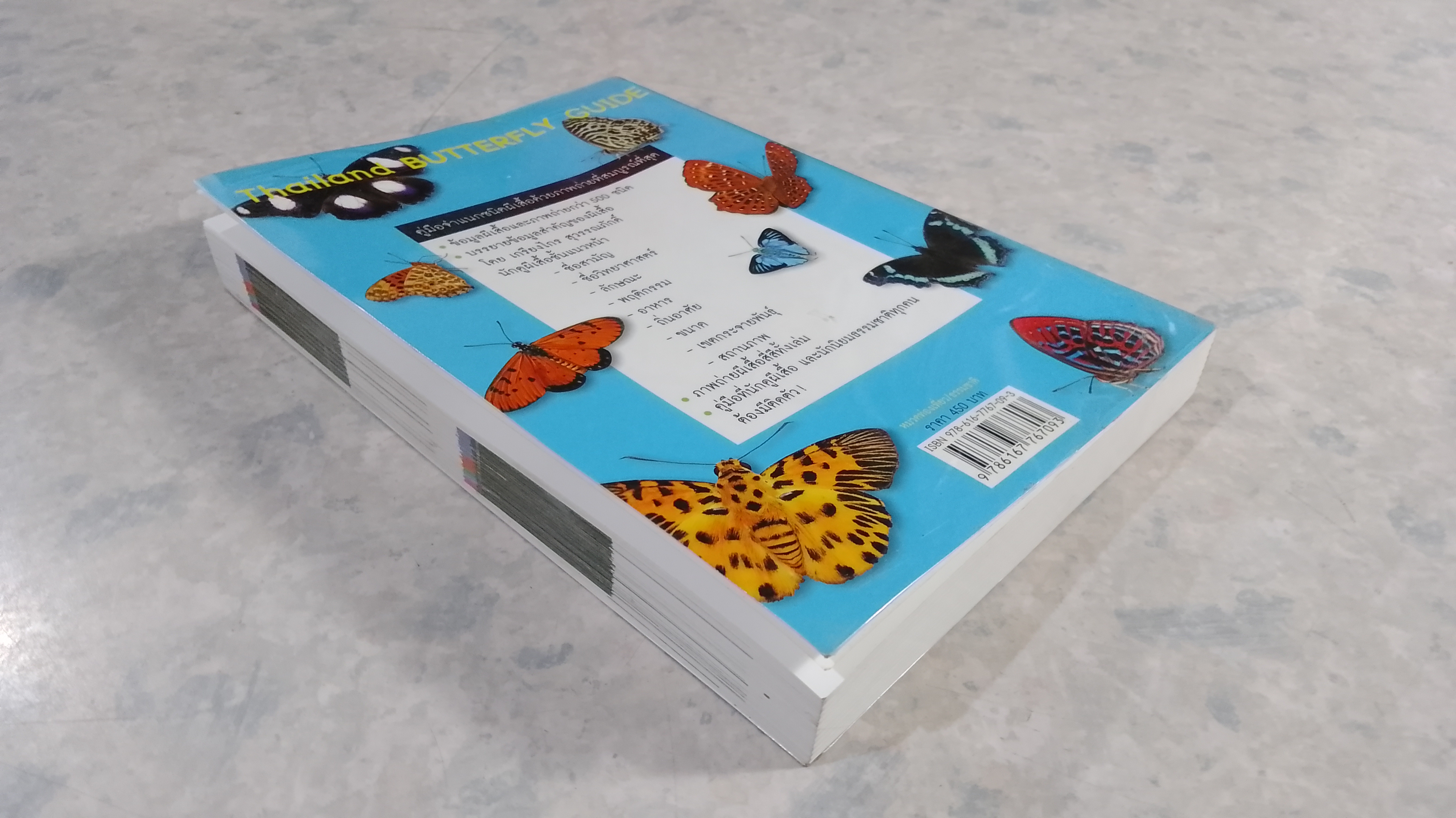 Thailand BUTTERFLY GUIDE / เกรียงไกร สุวรรณภักดิ์