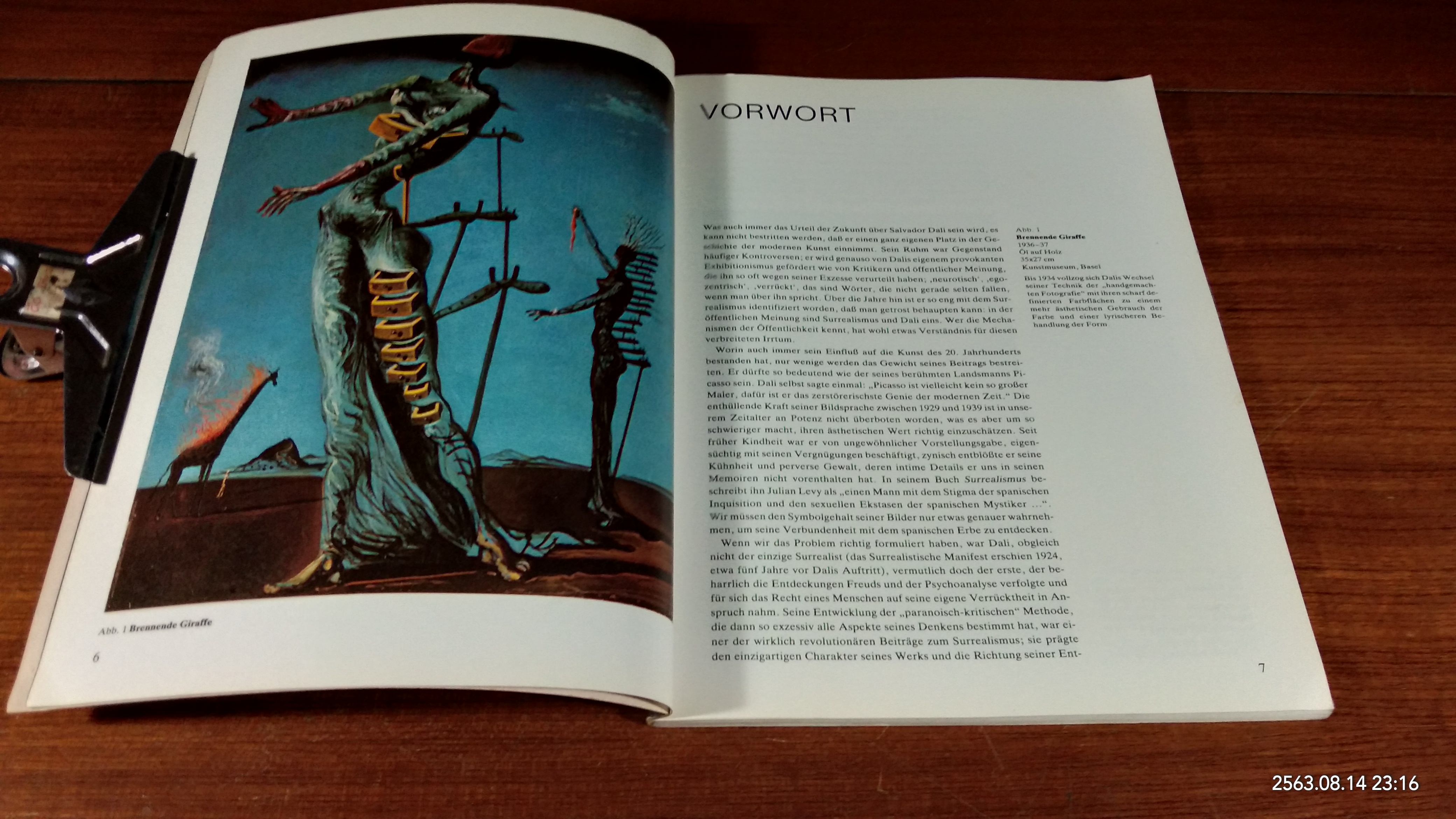DALI CONROY MADDOX / TASCHEN
