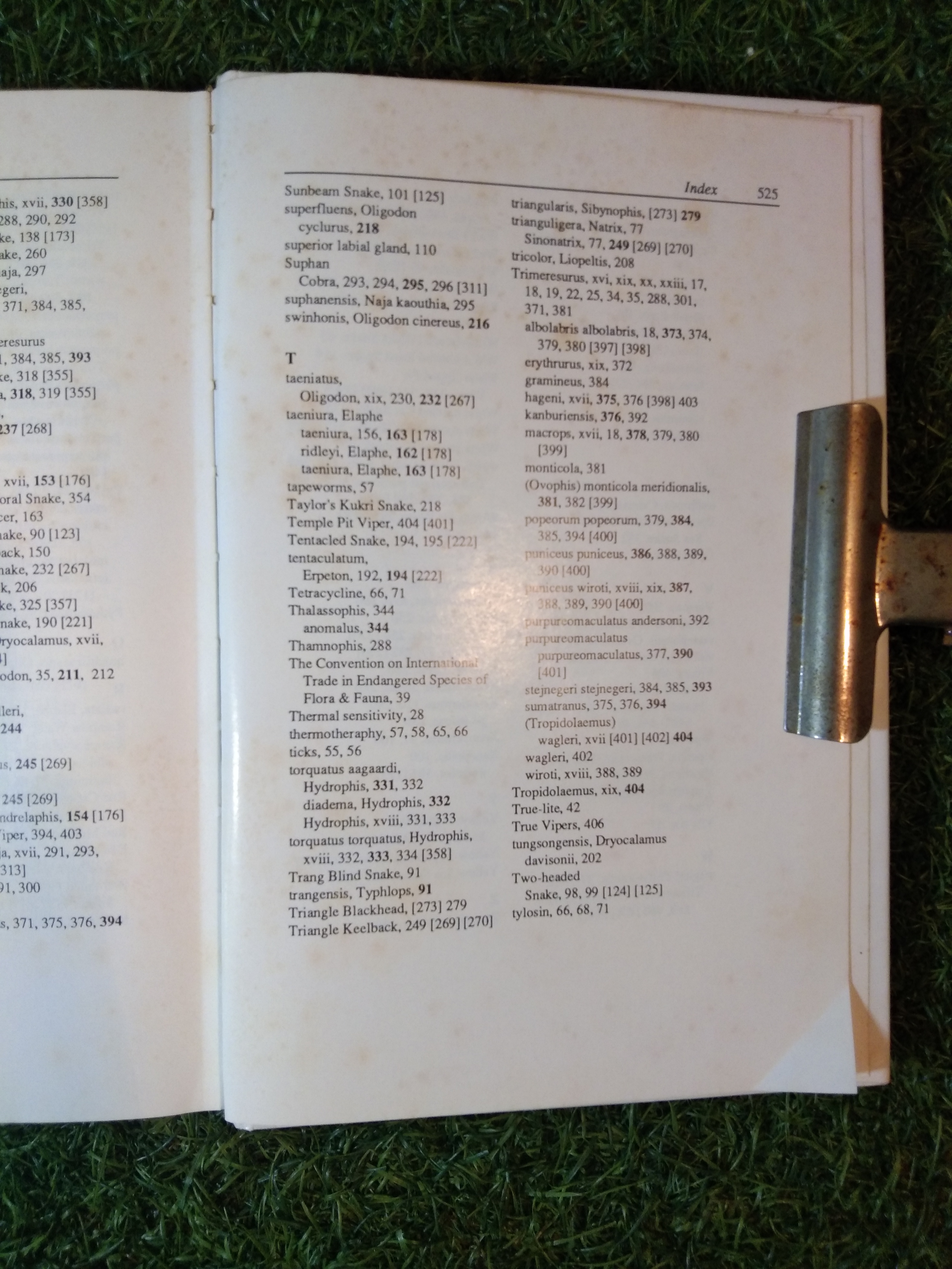 The Snakes of Thailand and Their Husbandry / Merel.J.Cox