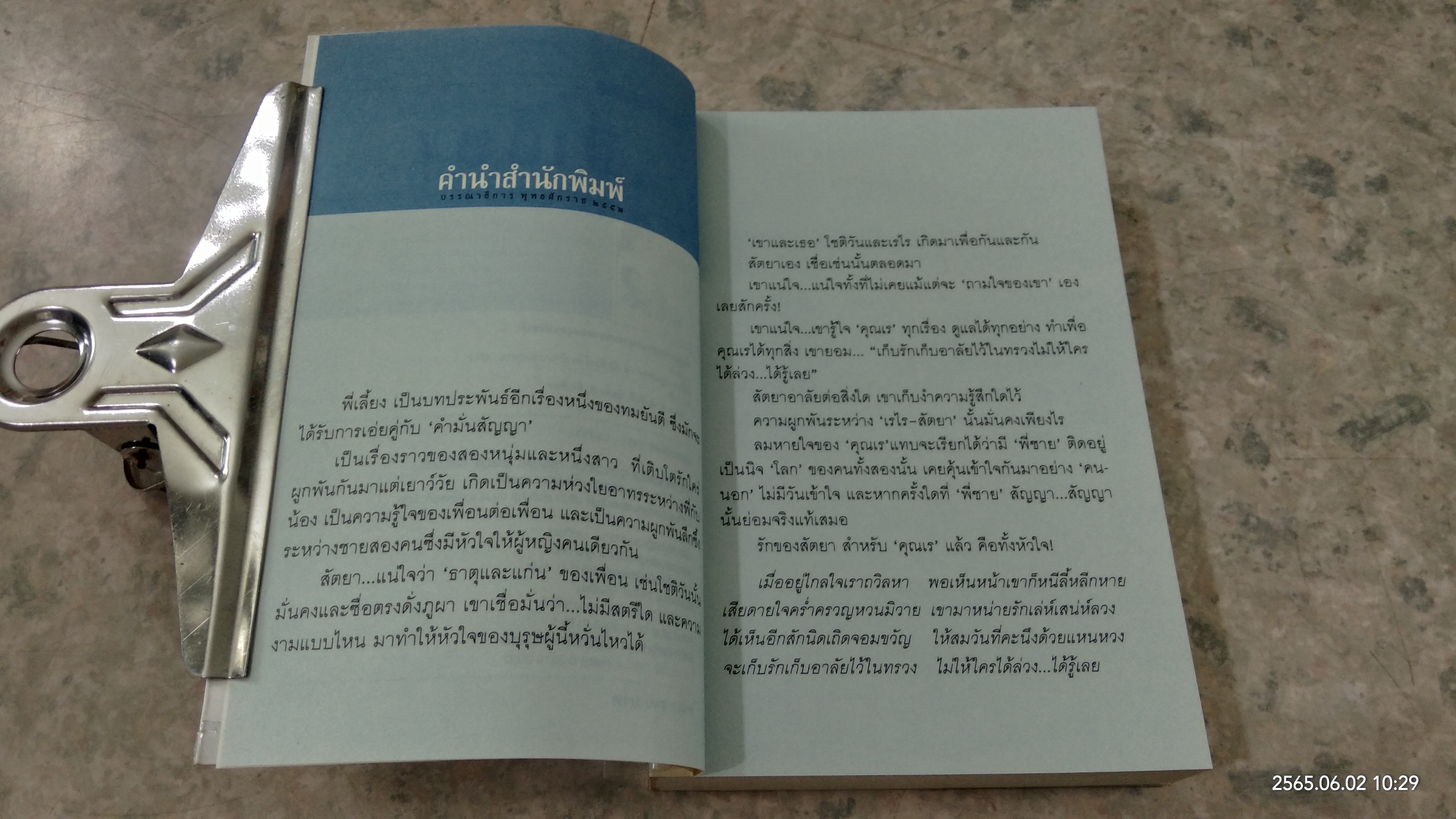 พี่เลี้ยง / ทมยันตี
