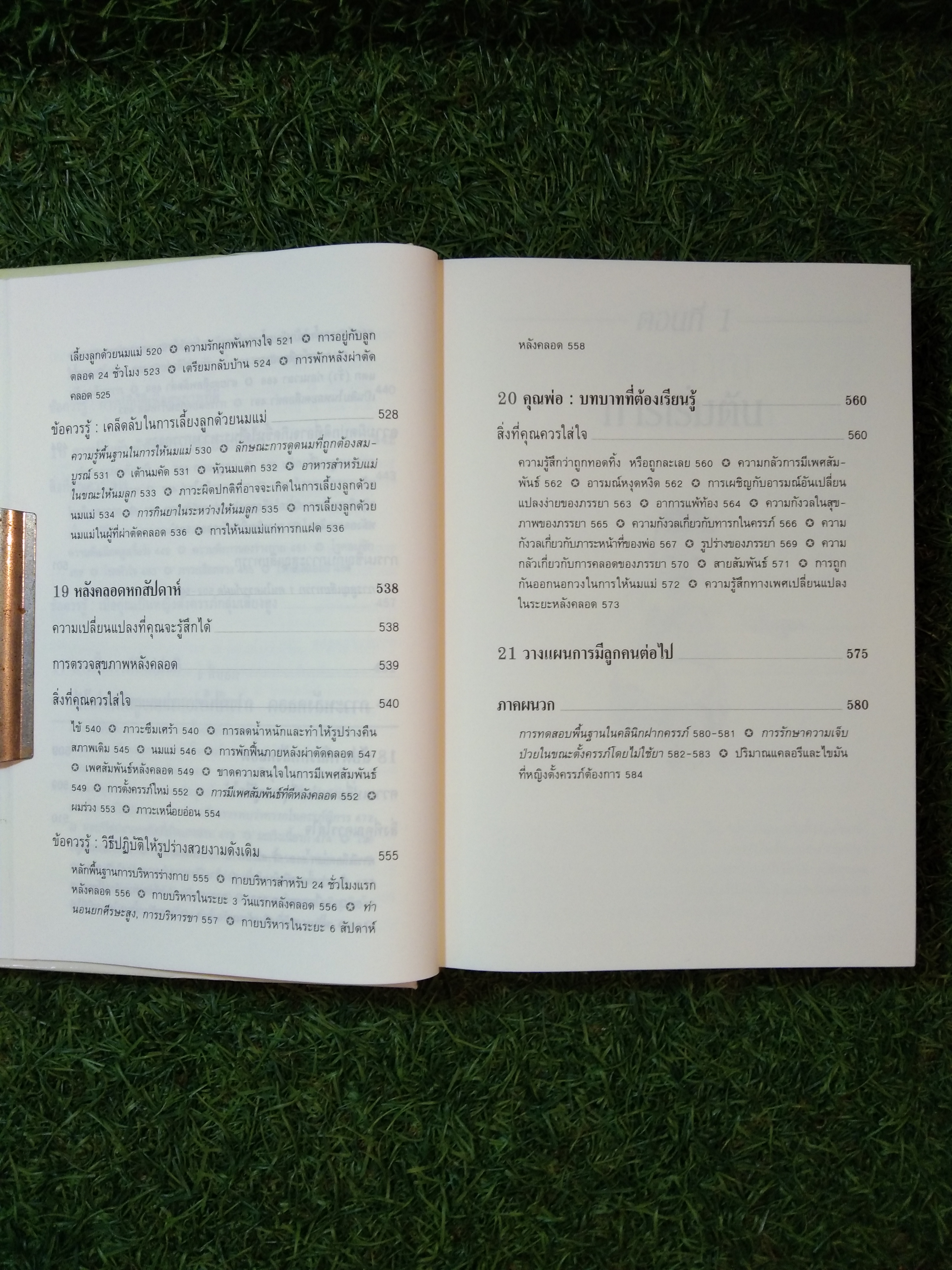 คู่มือ ตั้งครรภ์ คุณภาพ กว่าจะเป็น แม่ / ไอเซ็นเบิร์ก