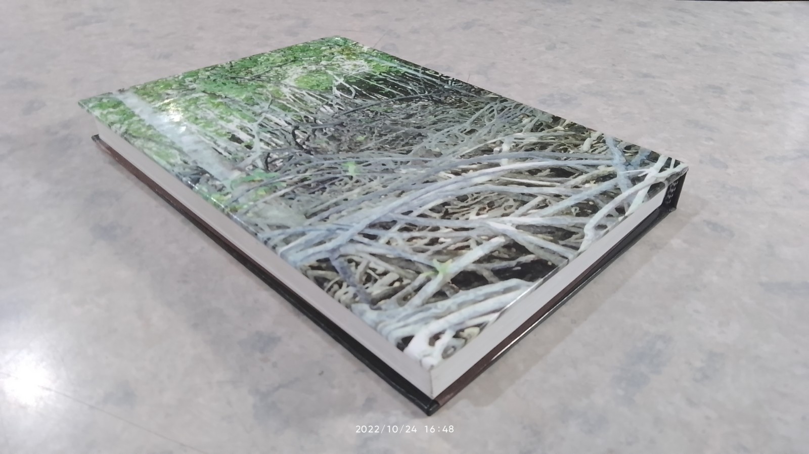 ความหลากหลายทางชีวภาพในป่าชายเลน ภาคใต้ตอนบน