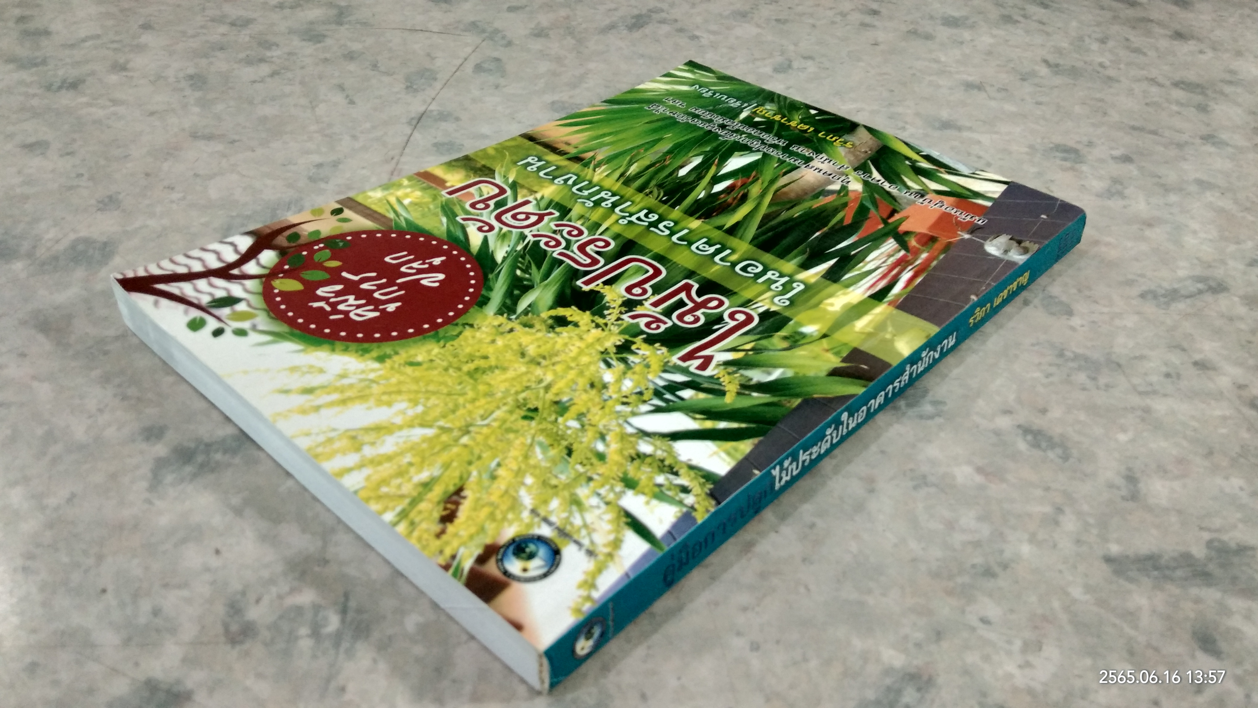 คู่มือการปลูกไม้ประดับในอาคารสำนักงาน / รวิภา เดชาชาญ