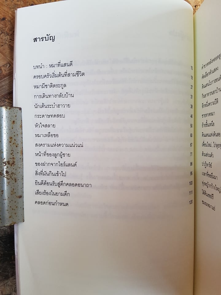 จอมป่วนหน้าซื่อ / จอห์น โกรแกน