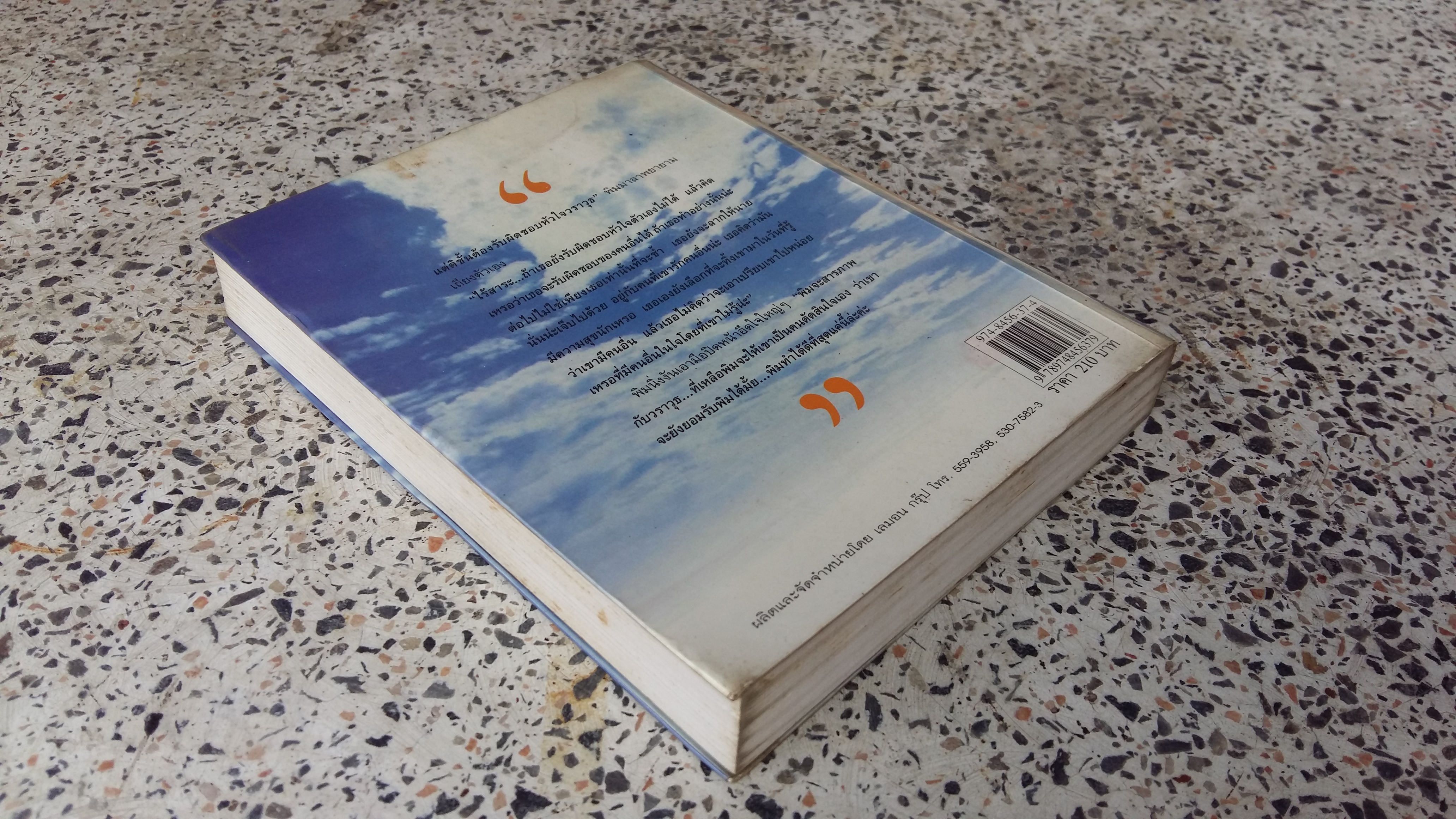 รักสุดท้ายที่ปลายฟ้า / พิง ลำพระเเพลิง