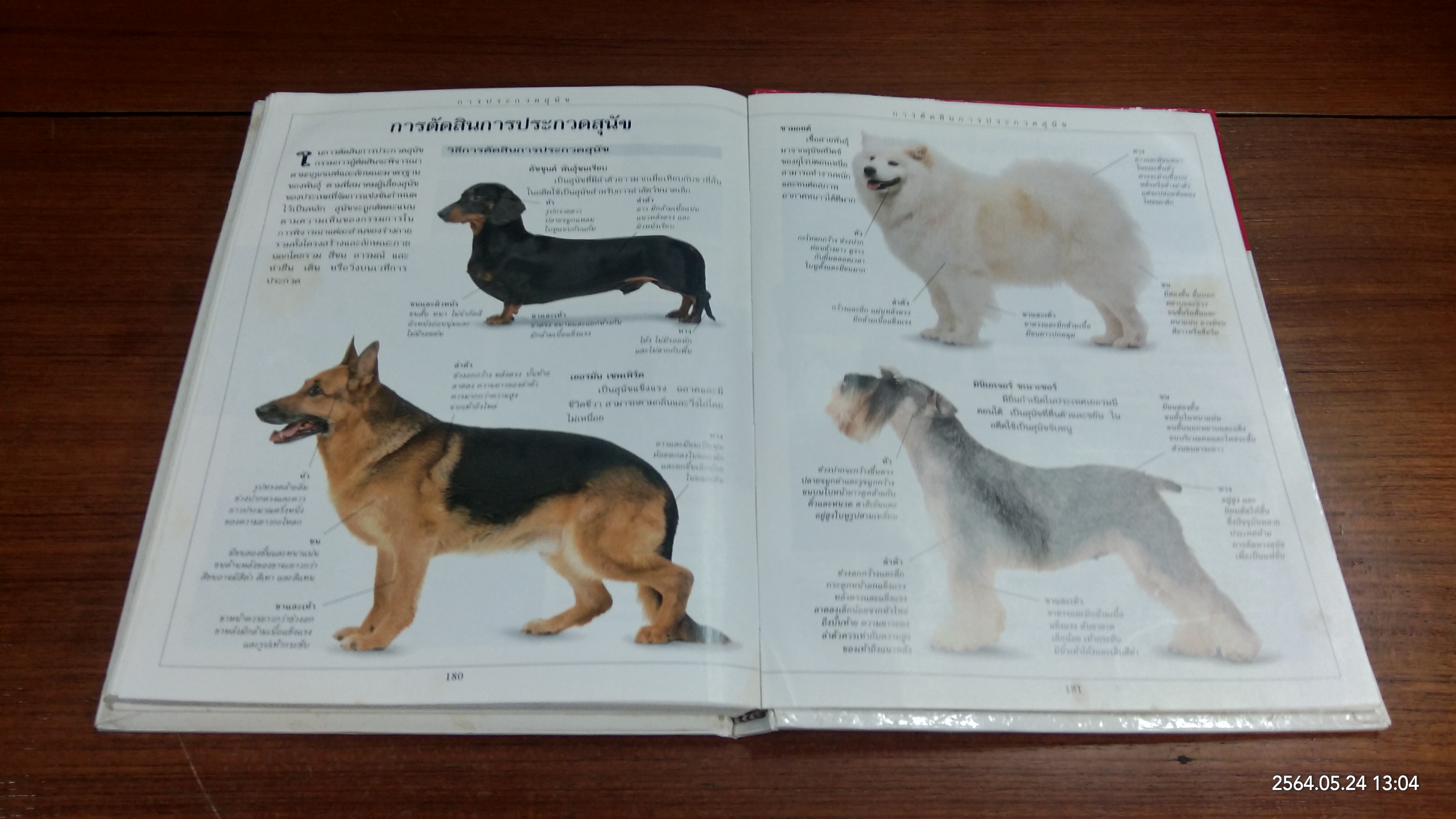 คู่มือดูแลสุนัข ฉบับสมบูรณ์ / DR.BRUCE FOGLE