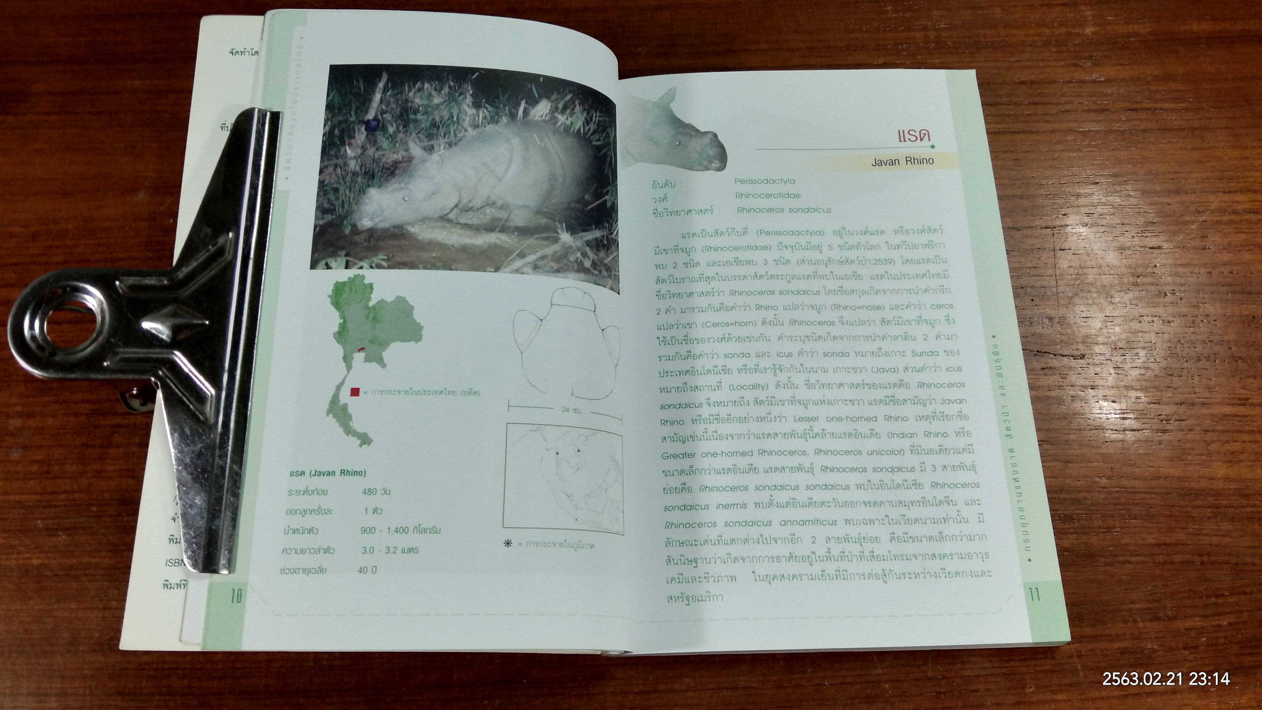 สัตว์ป่าสงวนในประเทศไทย / กรมอุทยานแห่งชาติ