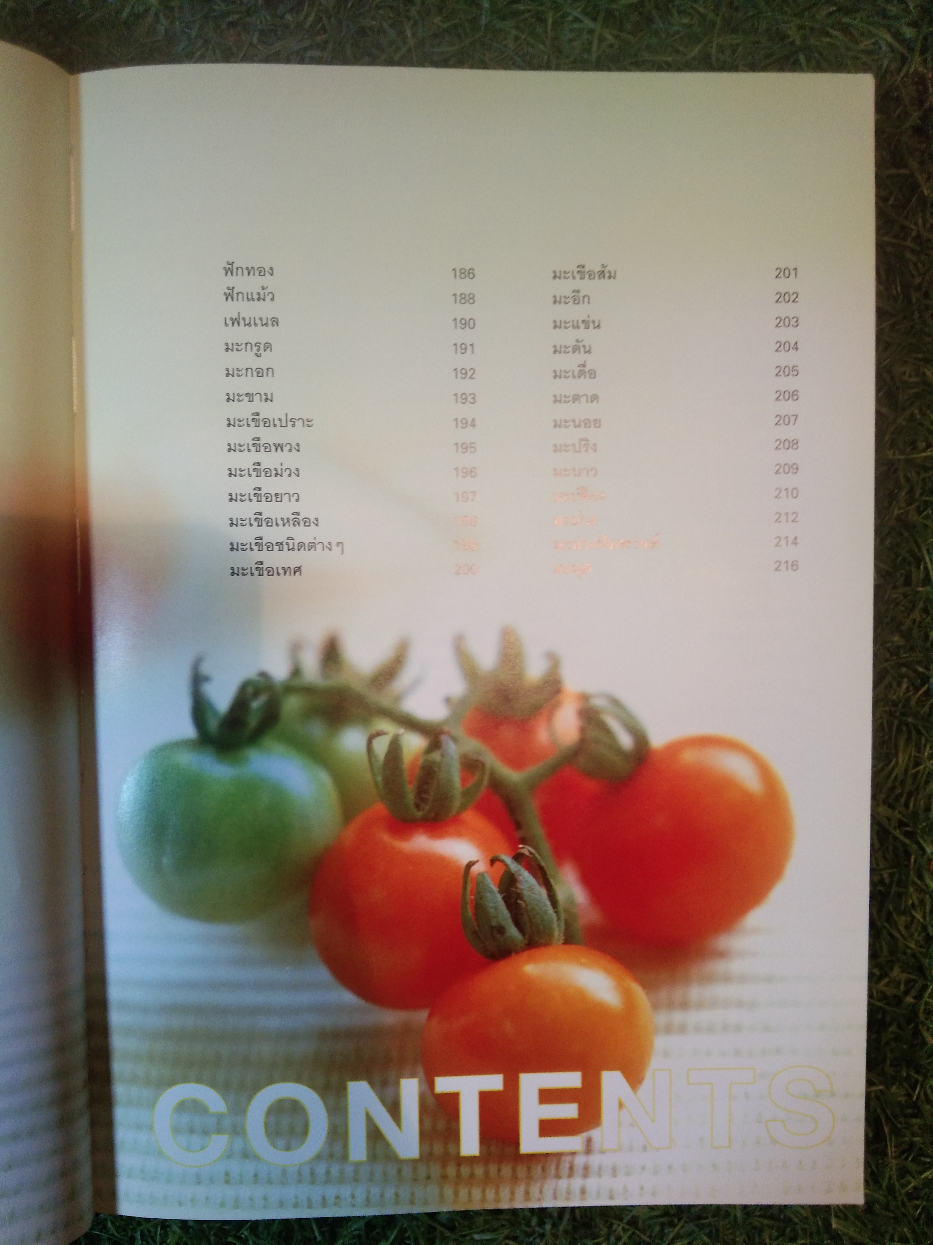 คุณค่าอาหารและการกิน ผัก๓๓๓ ชนิด / แสงแดด (สภาพไม่สมบูรณ์)