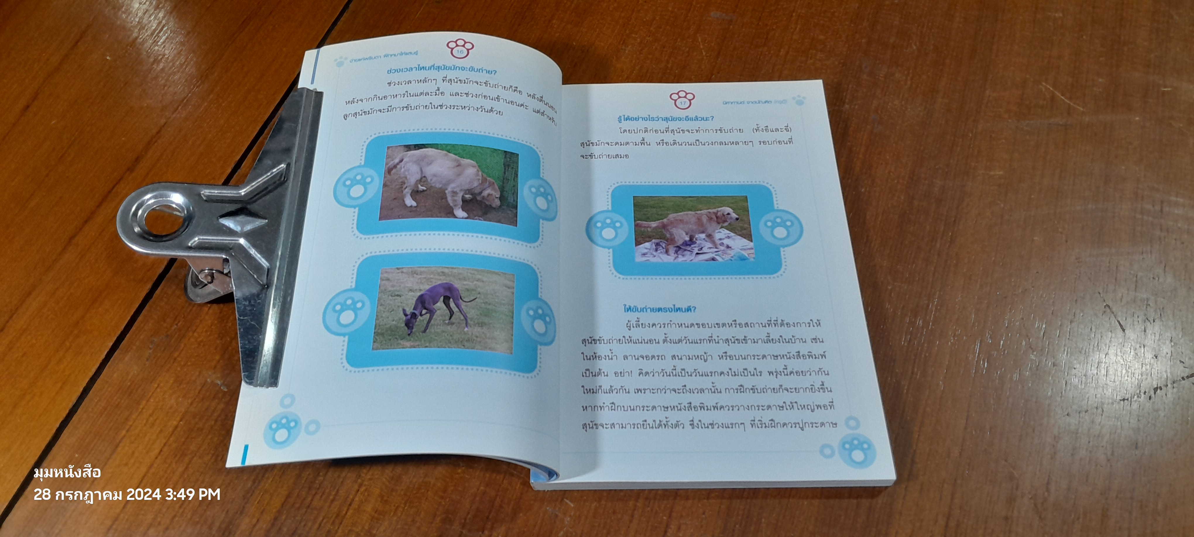 ง่ายแค่พลิบตา ฝึกหมาให้แสนรู้ / ครูอุ๊