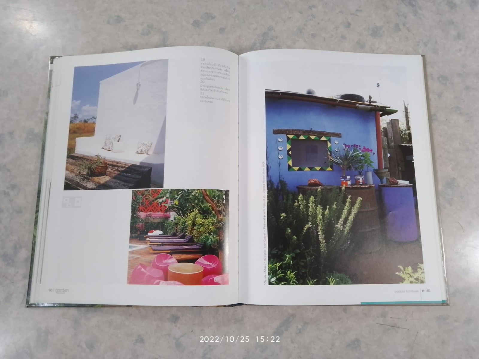 garden details 3 / บ้านและสวน