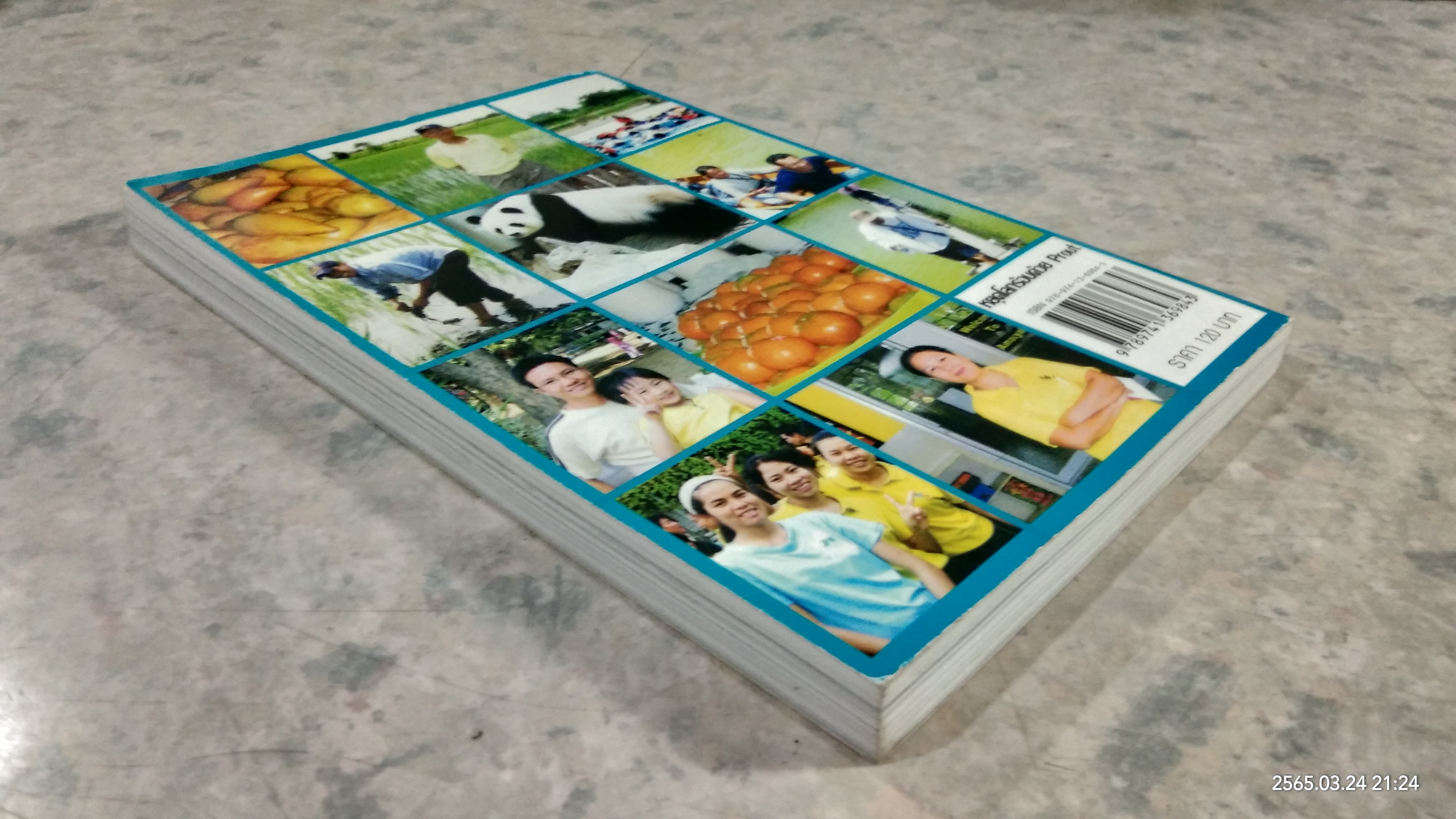 หยุดโลกร้อนด้วย Prout / เกียรติวรรณ อมาตยกุล