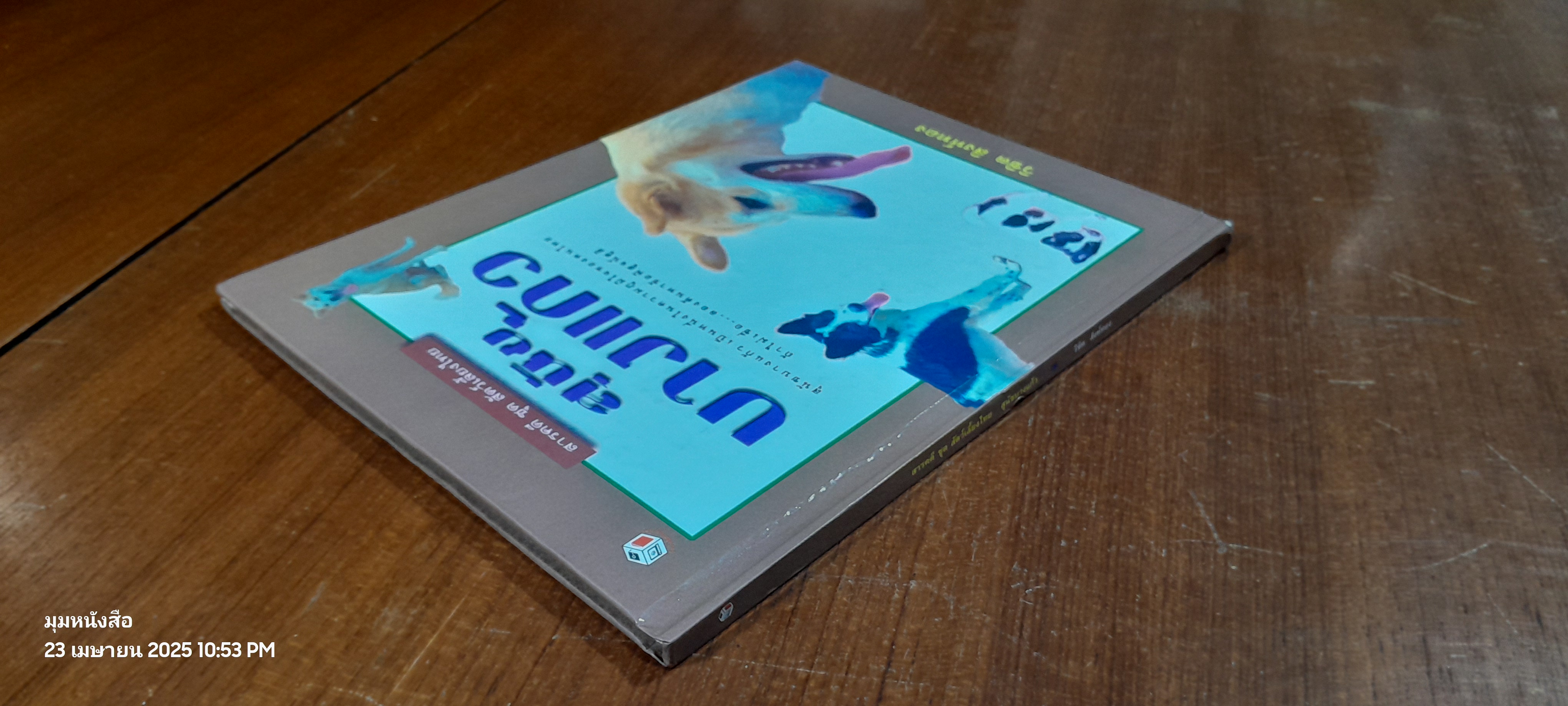 สุนัขบางแก้ว / วิชิต สิงห์ทอง