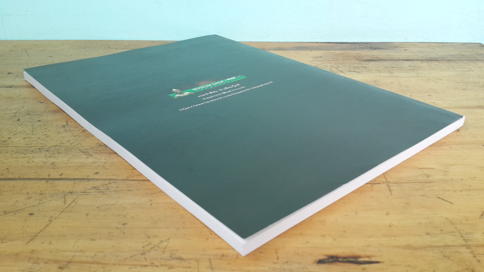 การเมืองเรื่องสมเด็จพระนเรศ / เทพมยตรี ลิมปพยอม