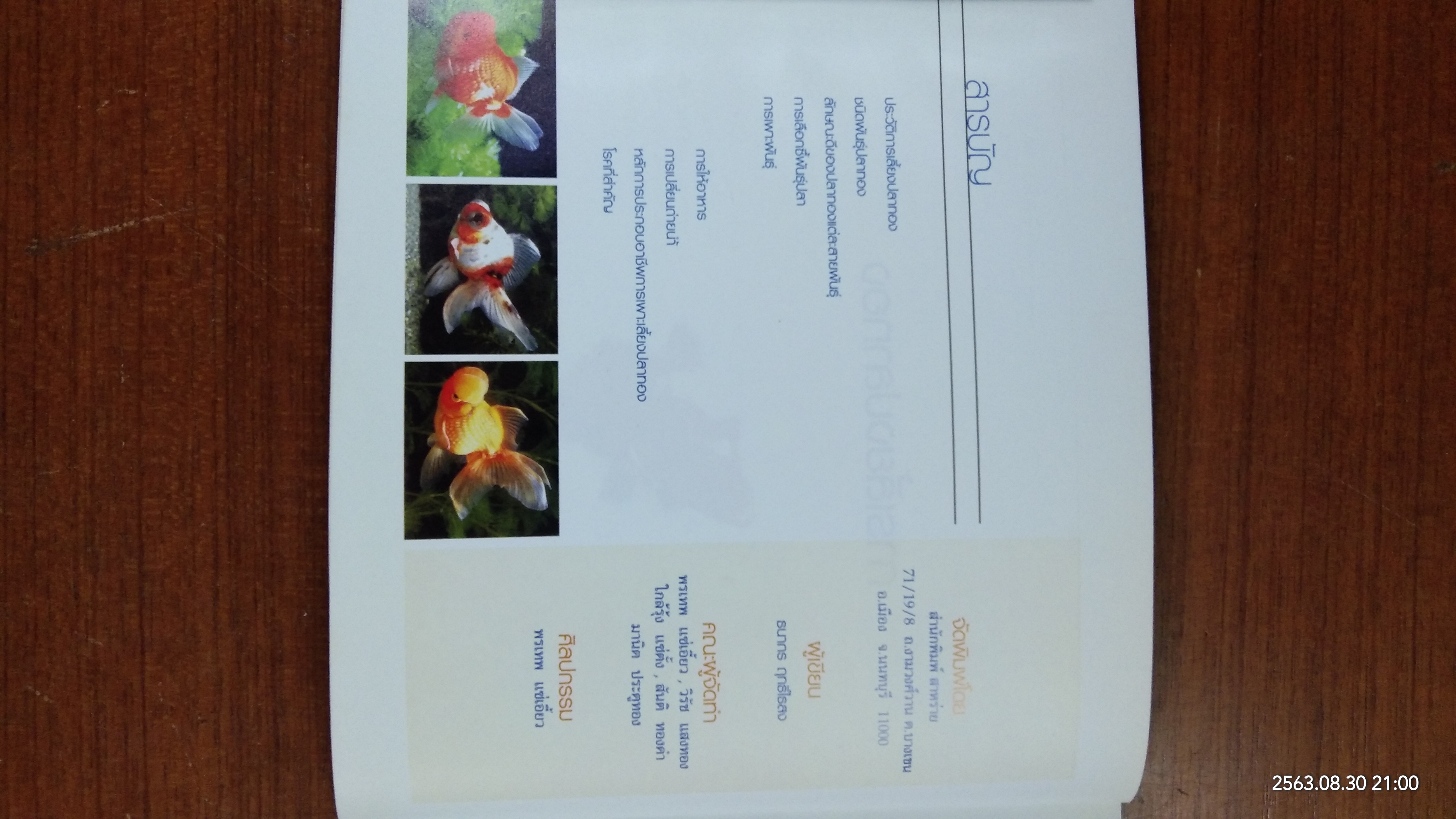 คู่มือพาะเลี้ยงปลาทอง / ธนากร ฤทธิ์ไธสง