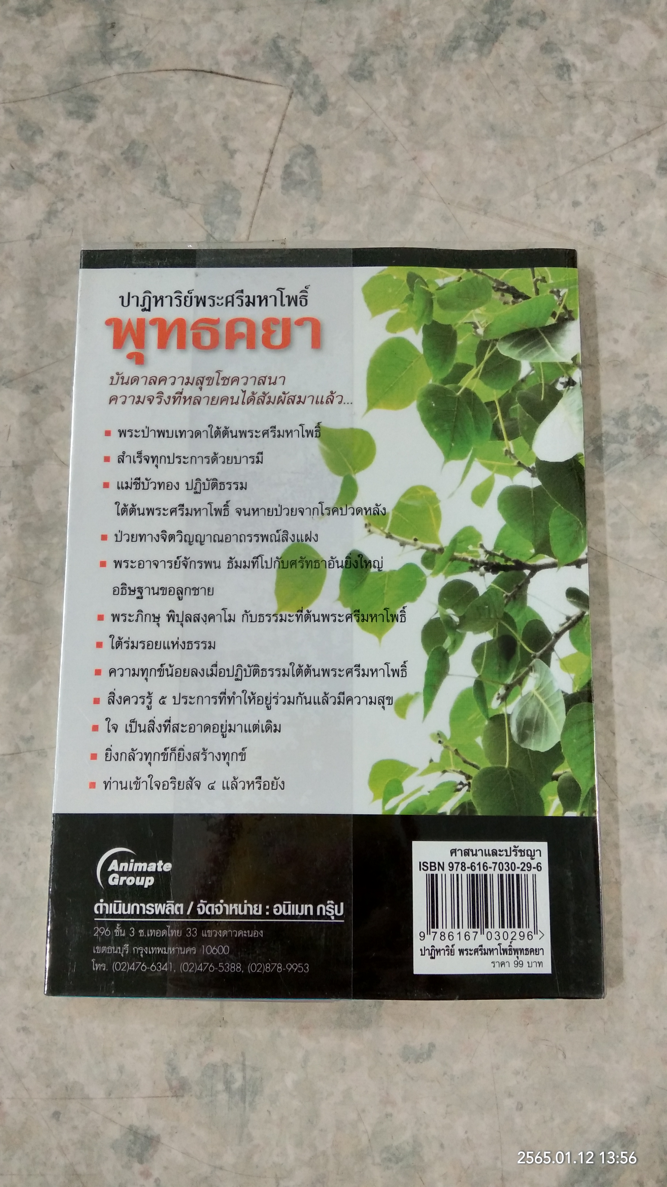 ปาฏิหาริย์พระศรีมหาโพธิ์ พุทธคยา / ราช รามัญ