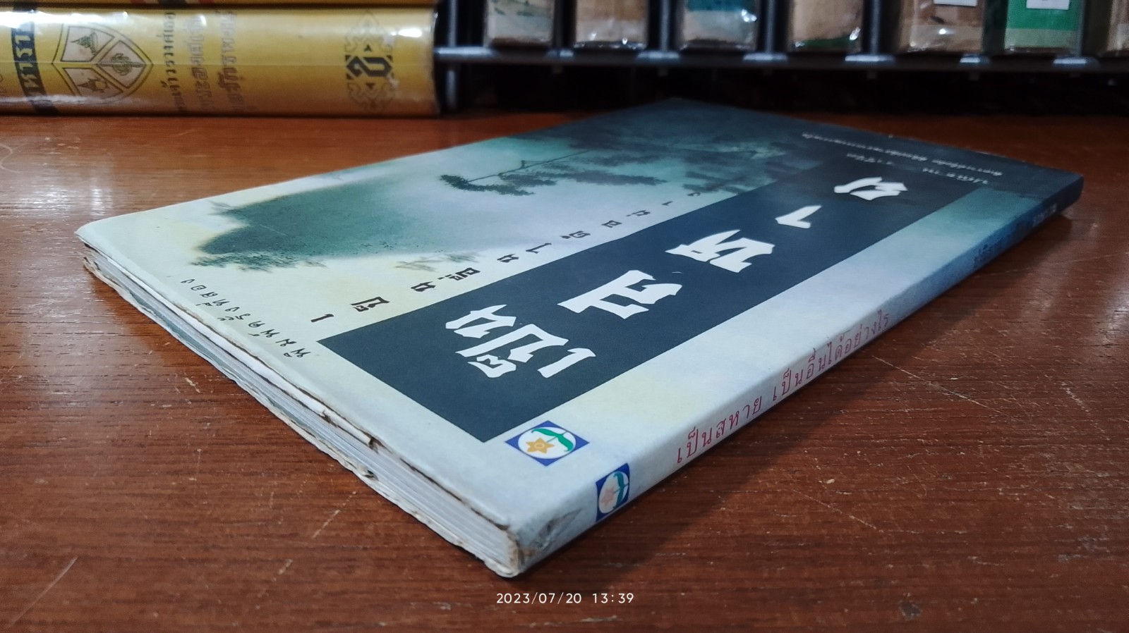 เป็นสหาย เป็นอื่นได้อย่างไร / ปณิธาน วารีจิต