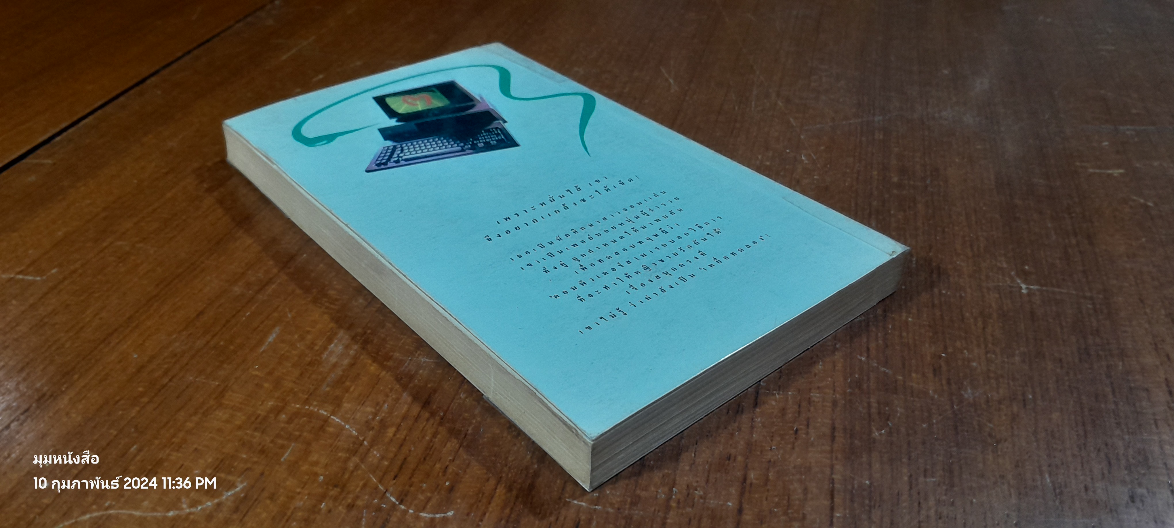 มนต์รักคอมพิวเตอร์ / แซลลี่ เวนท์เวิร์ธ