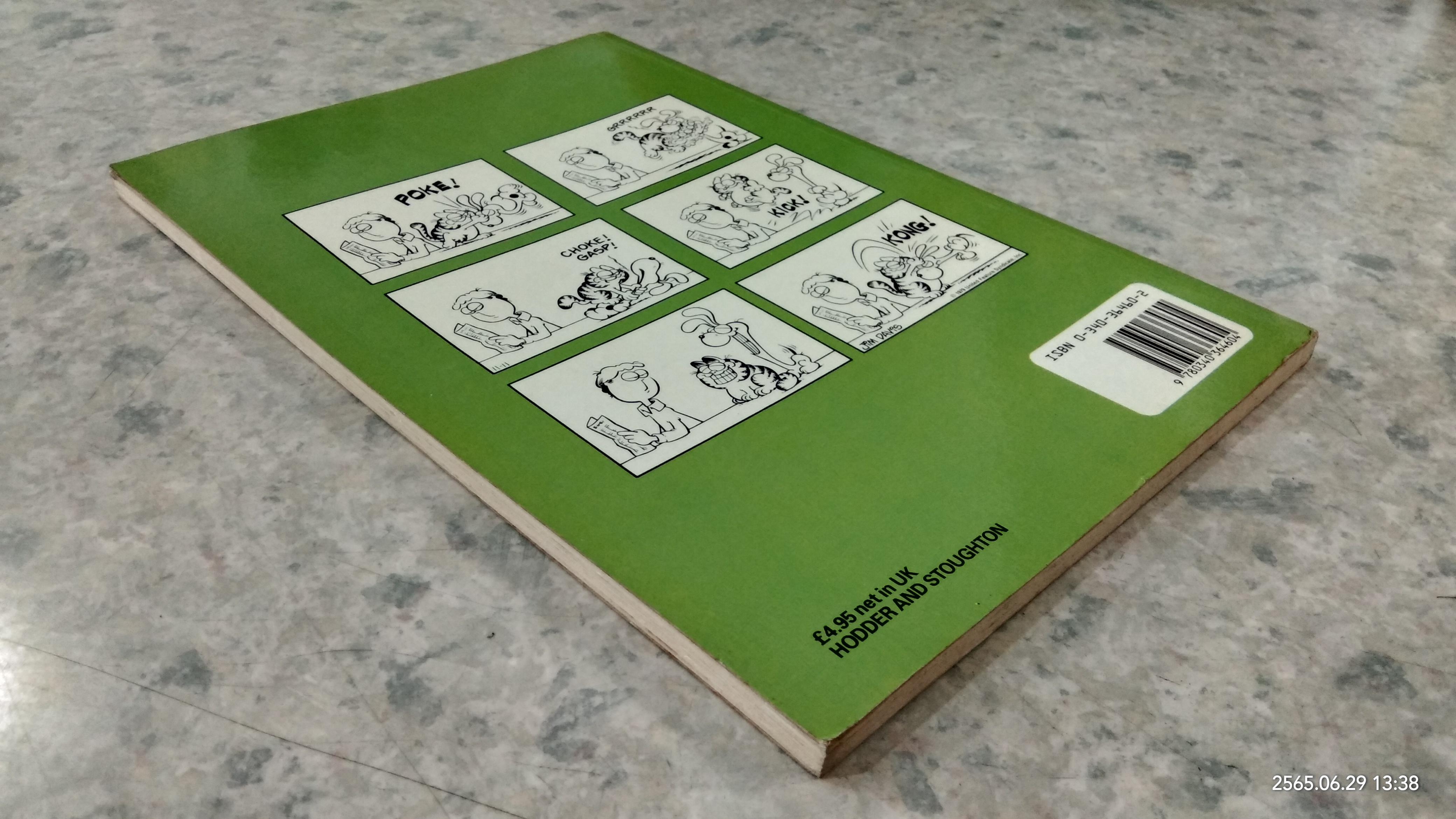 the Garfield Treasury / JiM DAViS