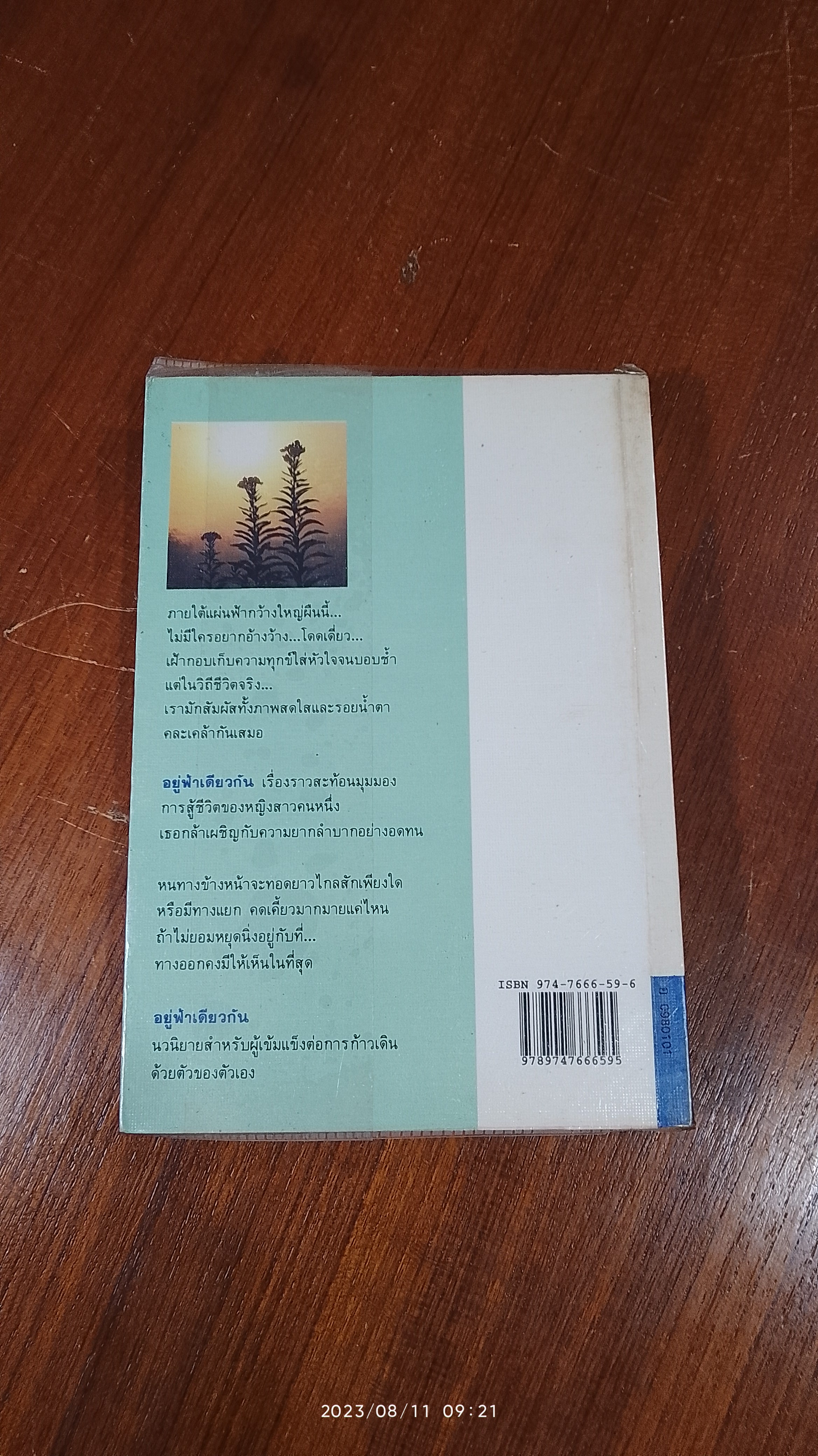 อยู่ฟ้าเดียวกัน / ว.วินิจฉัยกุล