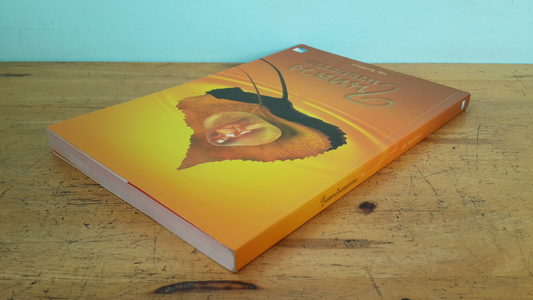 ในหลวงในรอยธรรม / ดนัย จันทร์เจ้าฉาย