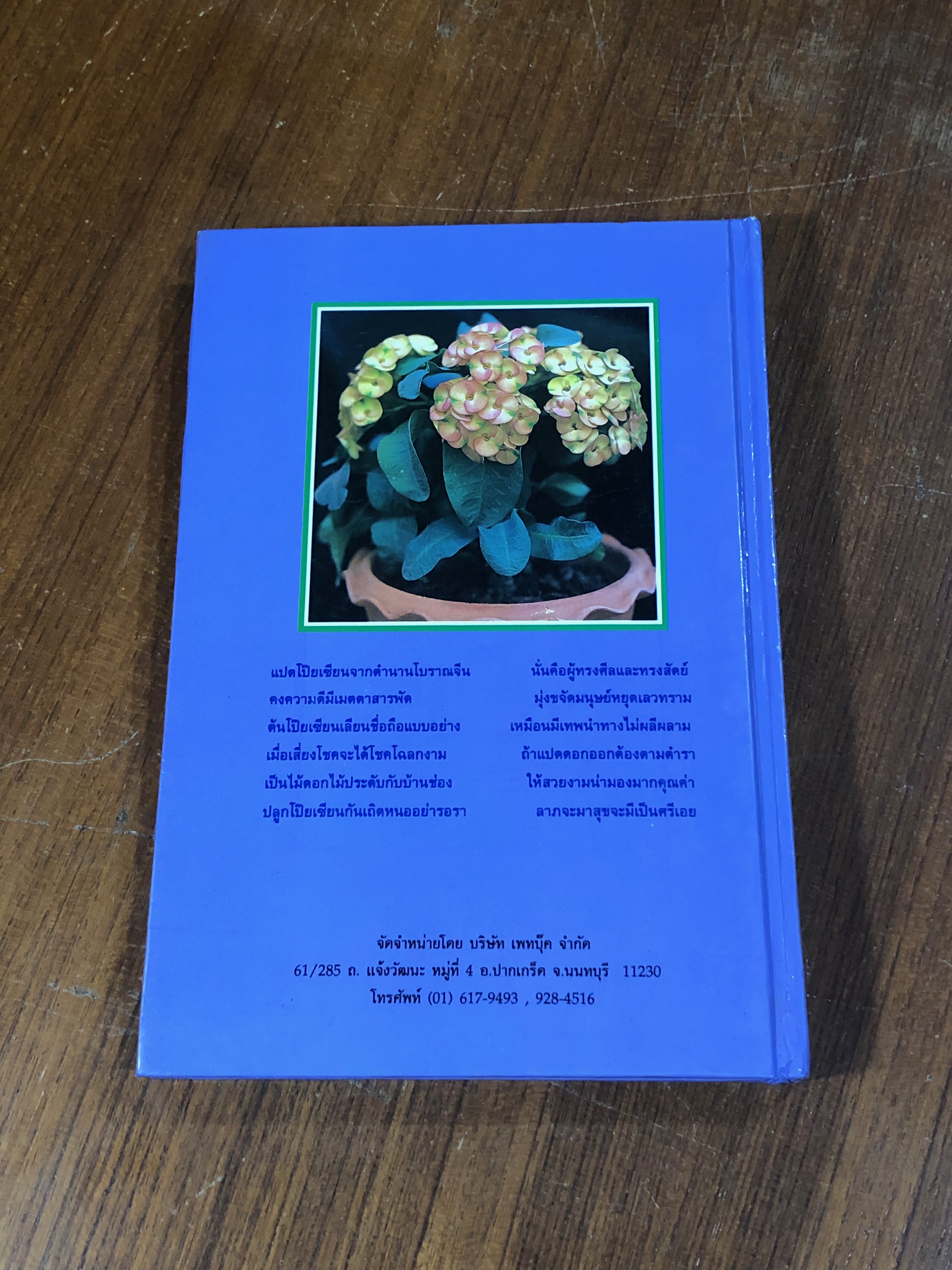 โป๊ยเซียน ไม้ดอกเสี่ยงทาย ไม้แห่งโชคลาภ / ไพโรจน์ จักรวาลชัย