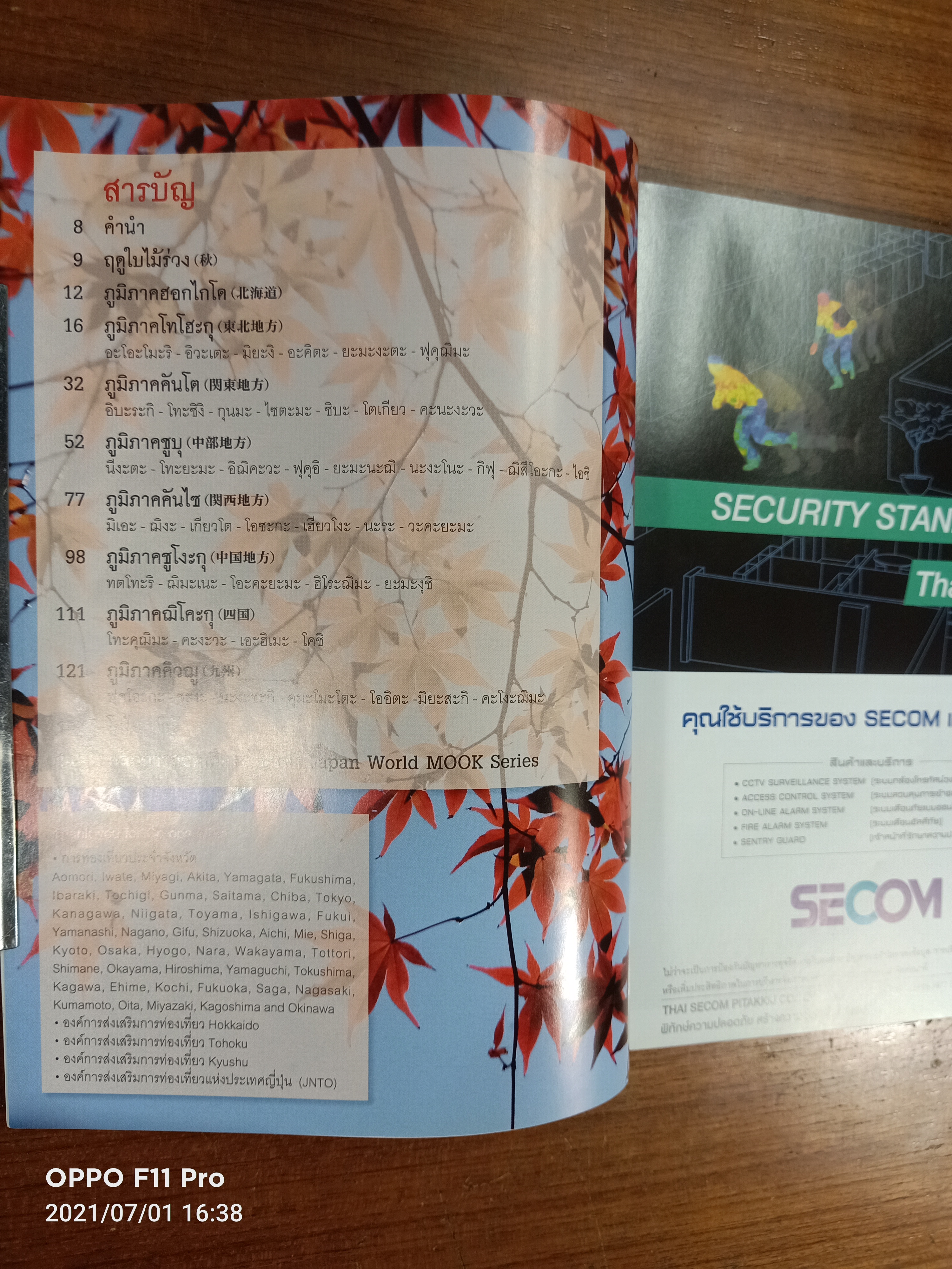 Autumn ตระการตาใบไม้เปลี่ยนสีในญี่ปุ่น / ชยภร พับลิเคชัน