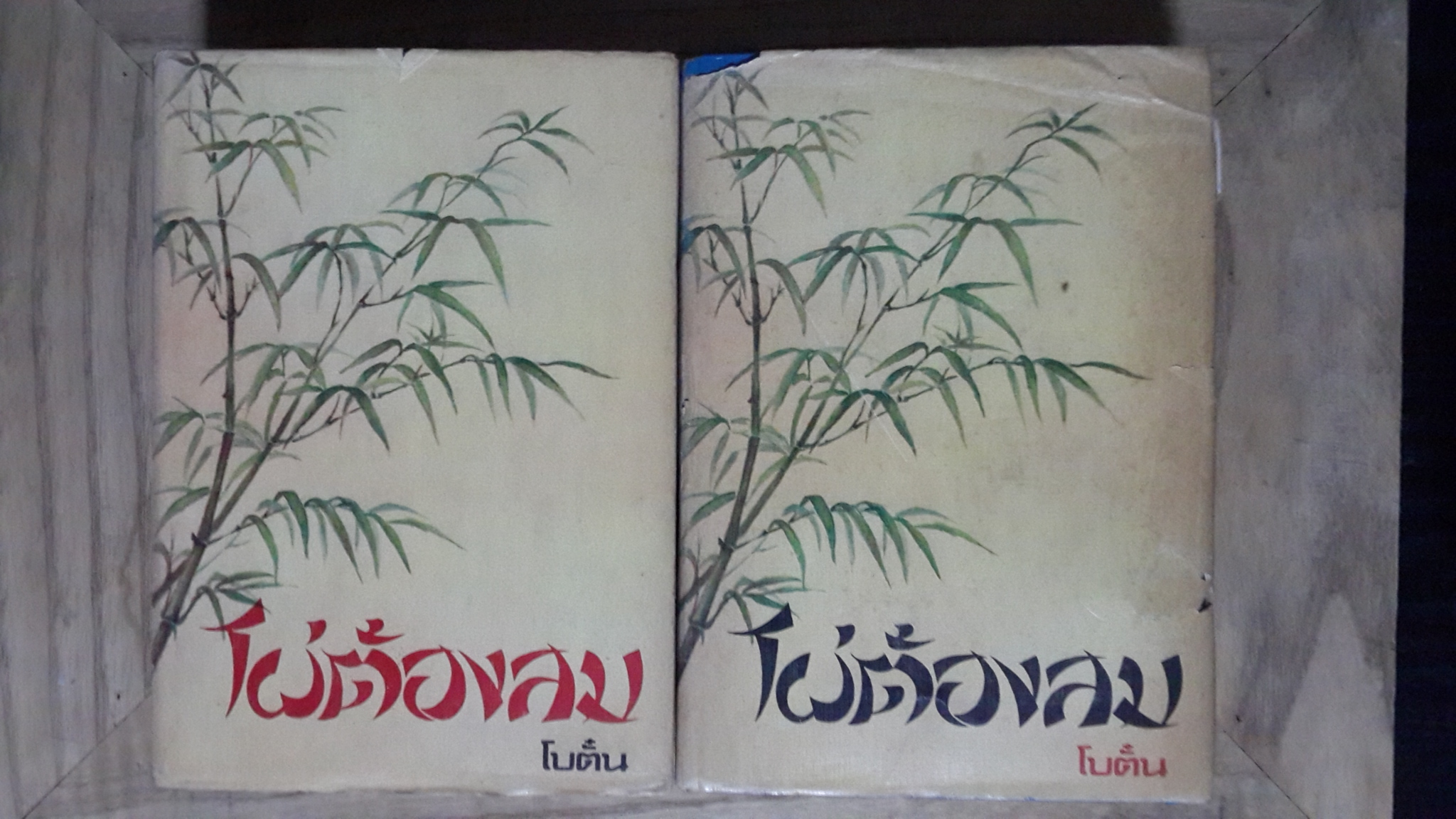 ไผ่ต้องลม (2เล่มจบ) / โบตั๋น