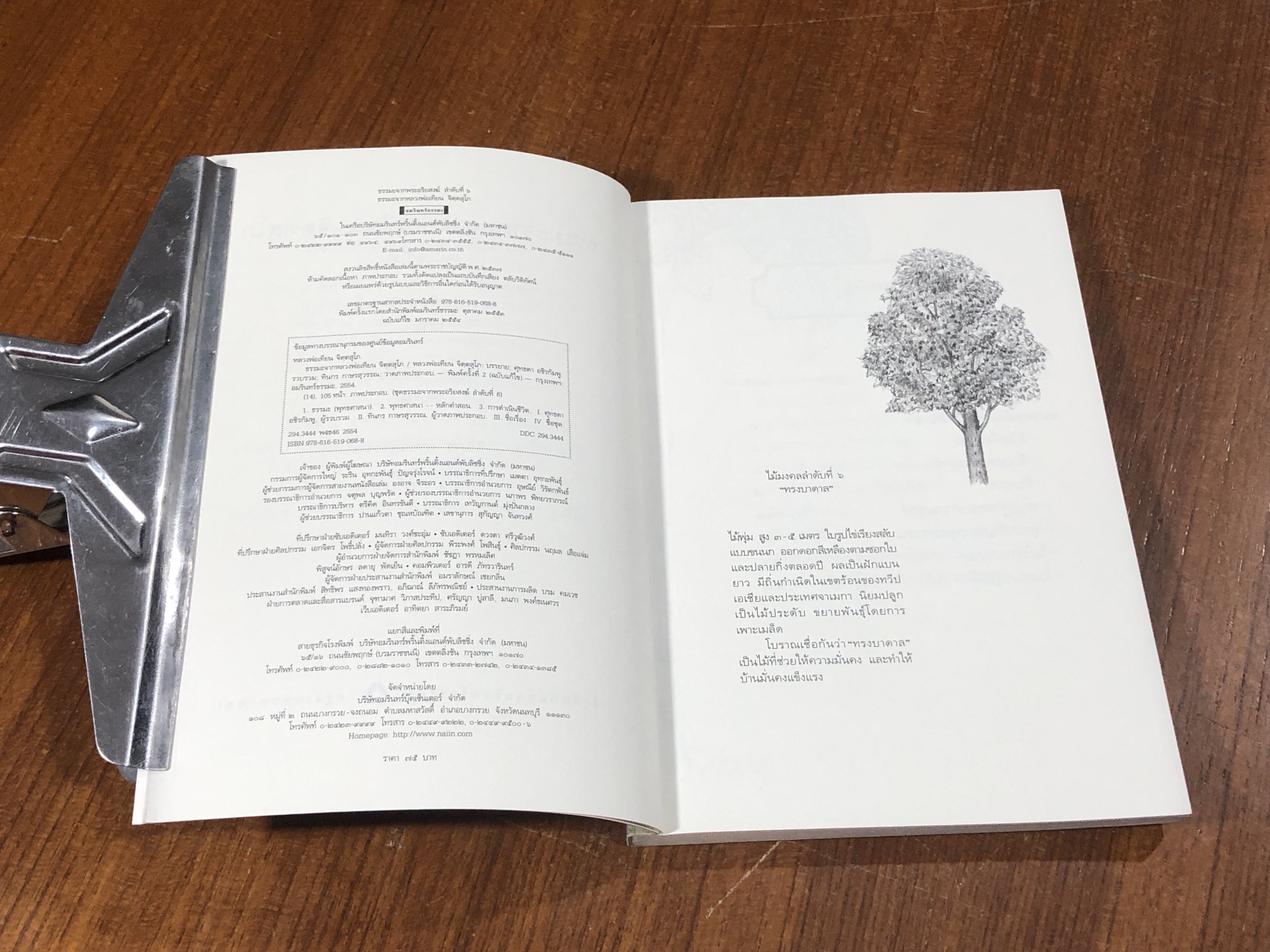 ธรรมมะจากหลวงพ่อเทียน จิตฺตสุโภ