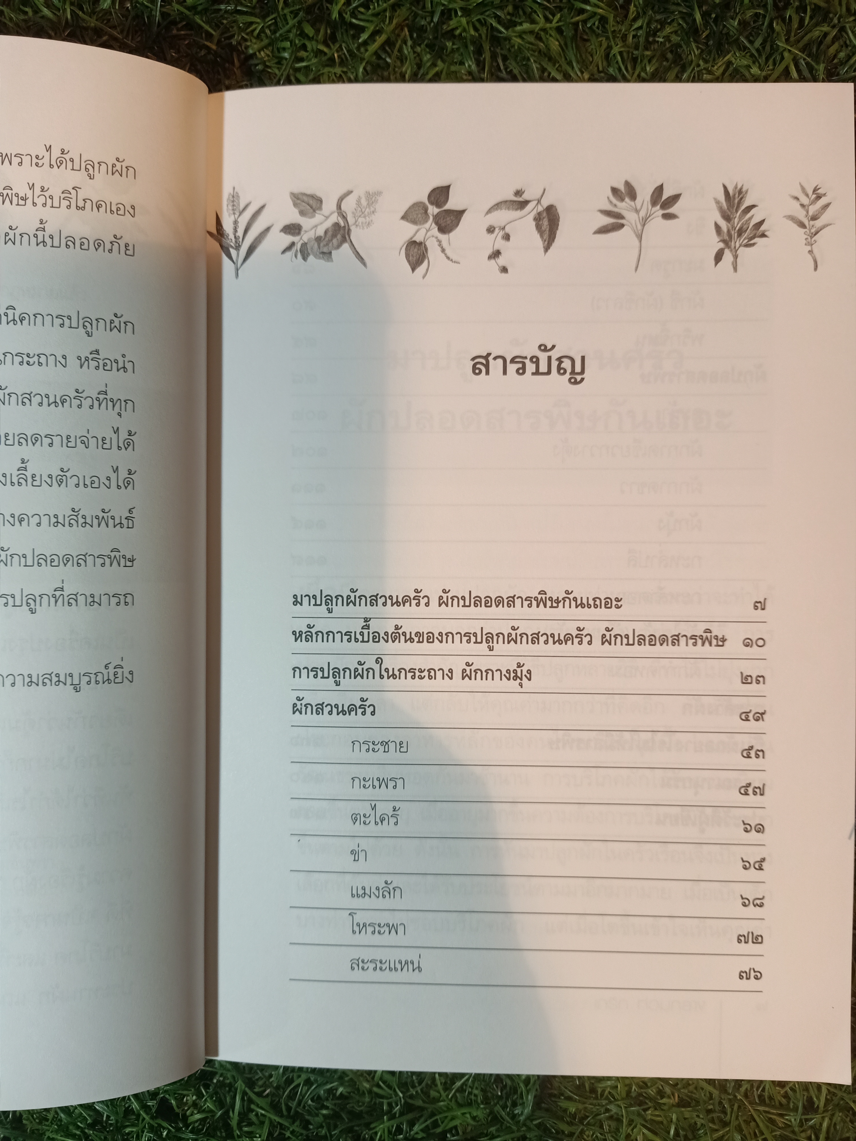 เทคนิคการปลูก ผักสวนครัว ผักปลอดสารเคมี คู่มือการเกษตรกรพึ่งตนเอง ชุด ปลูกผักเลี้ยงครอบครัว เล่ม ๒ / เกริก ท่วมกลาง