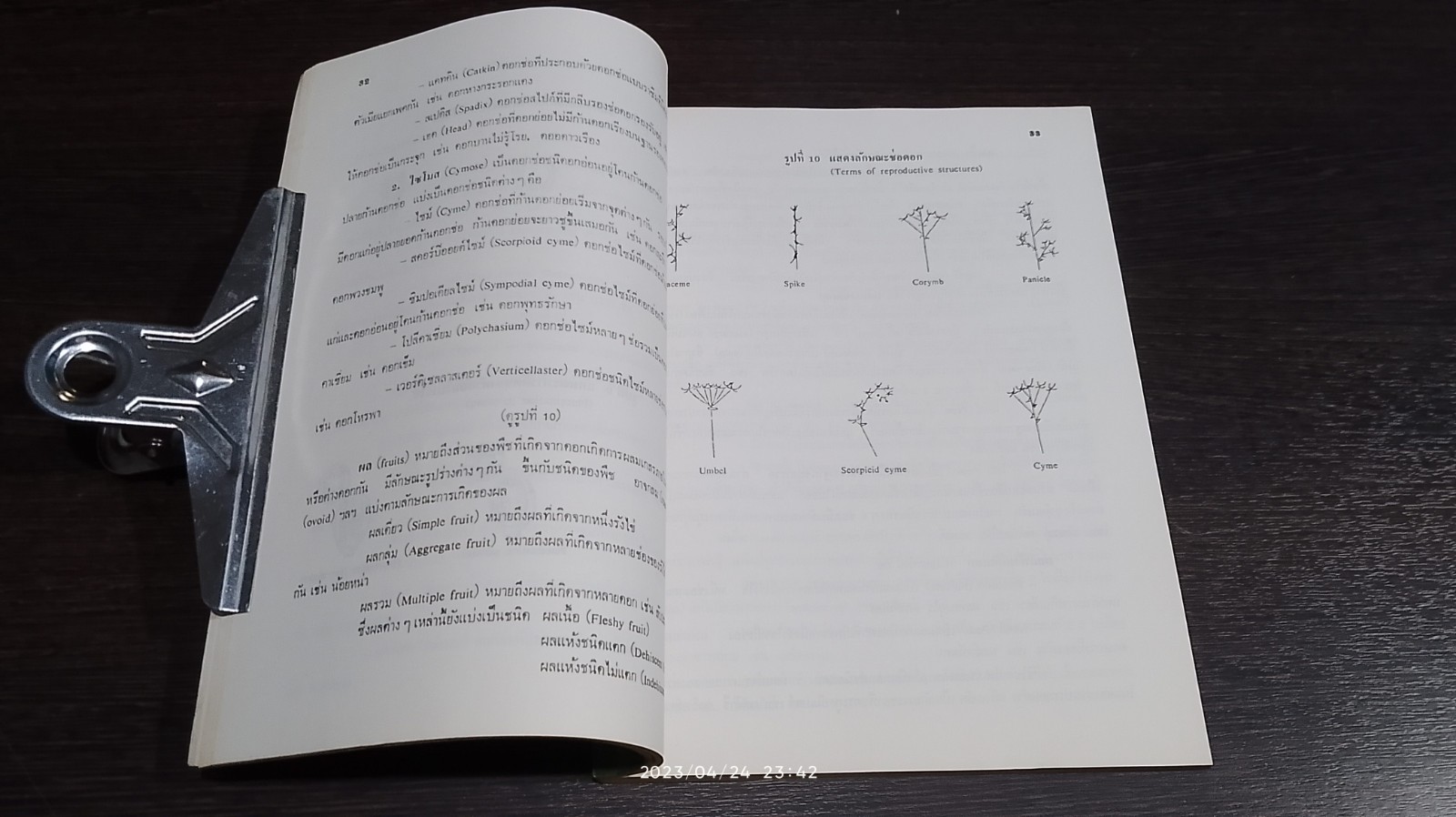 หนังสือตำรา สมุนไพรใกล้ตัว ตอนที่ 3 / รศ.สมพร หิรัญรามเดช (ภูติยานันต์)