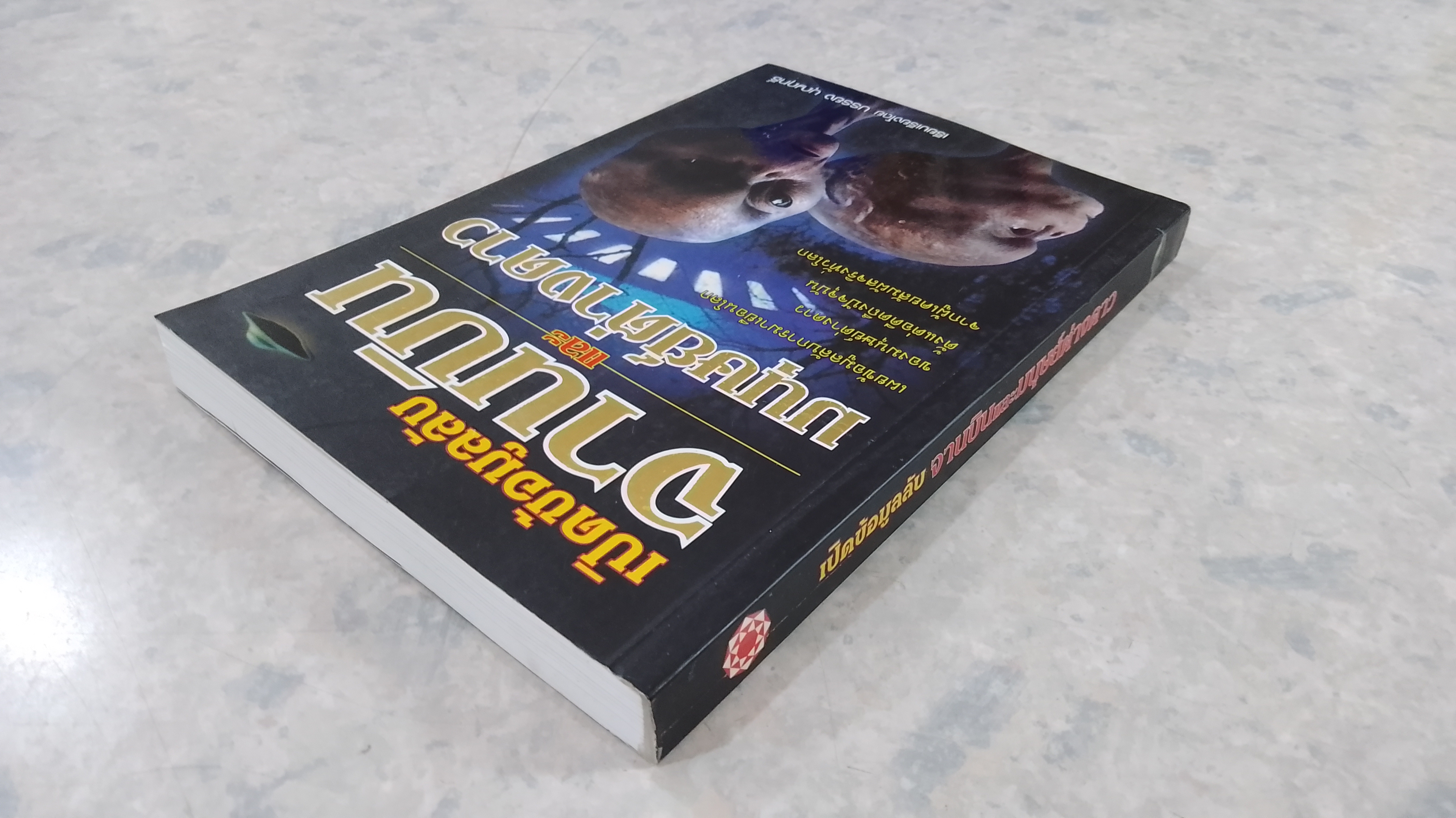 เปิดข้อมูลลับ จานบินและมนุษย์ต่างดาว / บรรยง บุญฤทธิ์